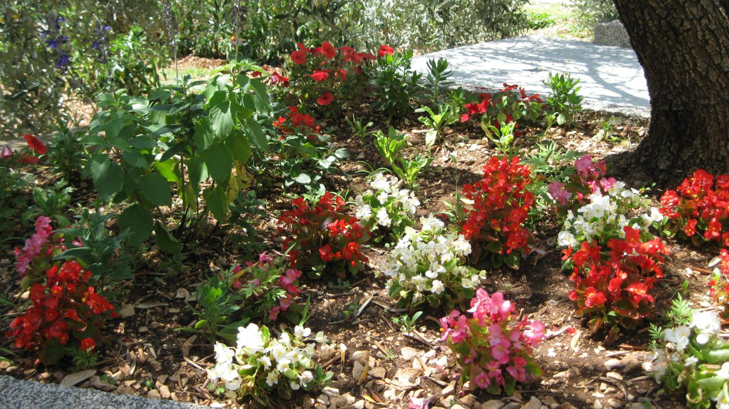Photo 42