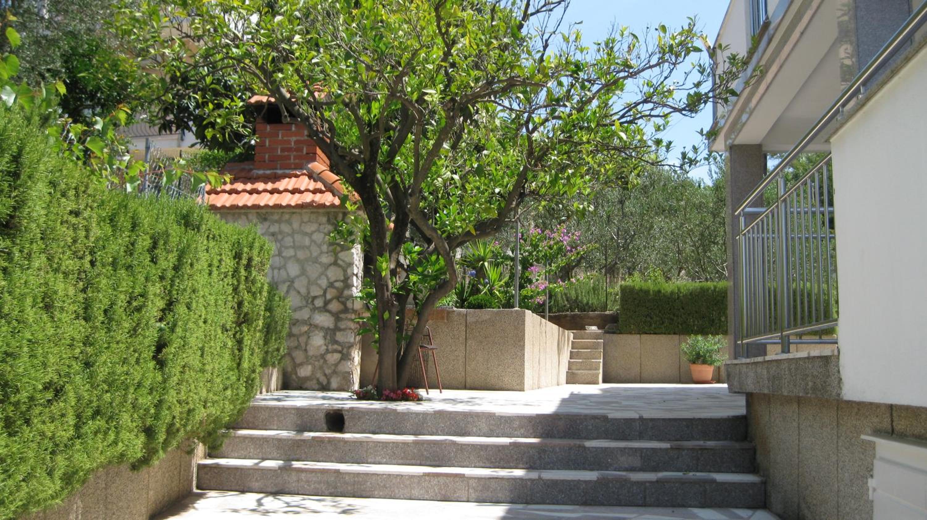 Photo 46