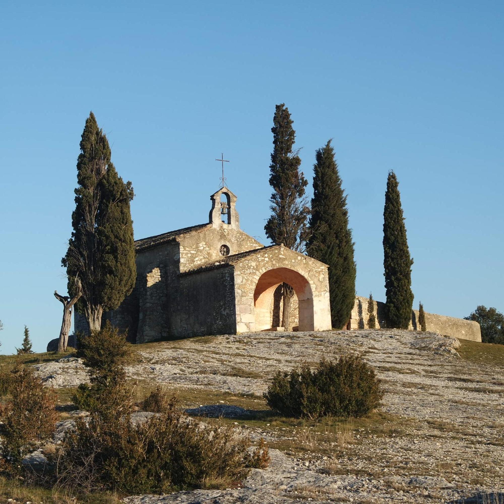 Photo 26