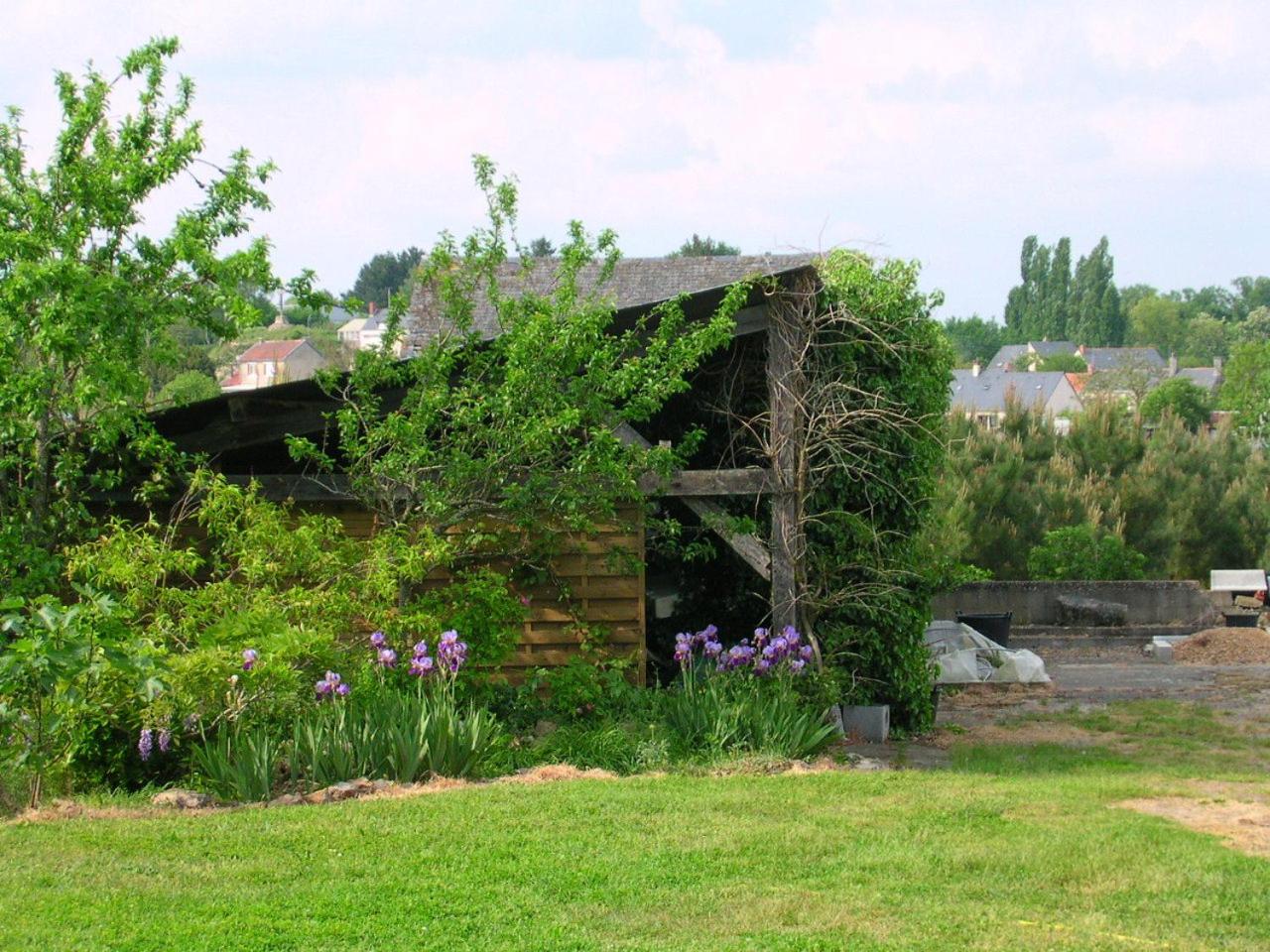 Photo 12
