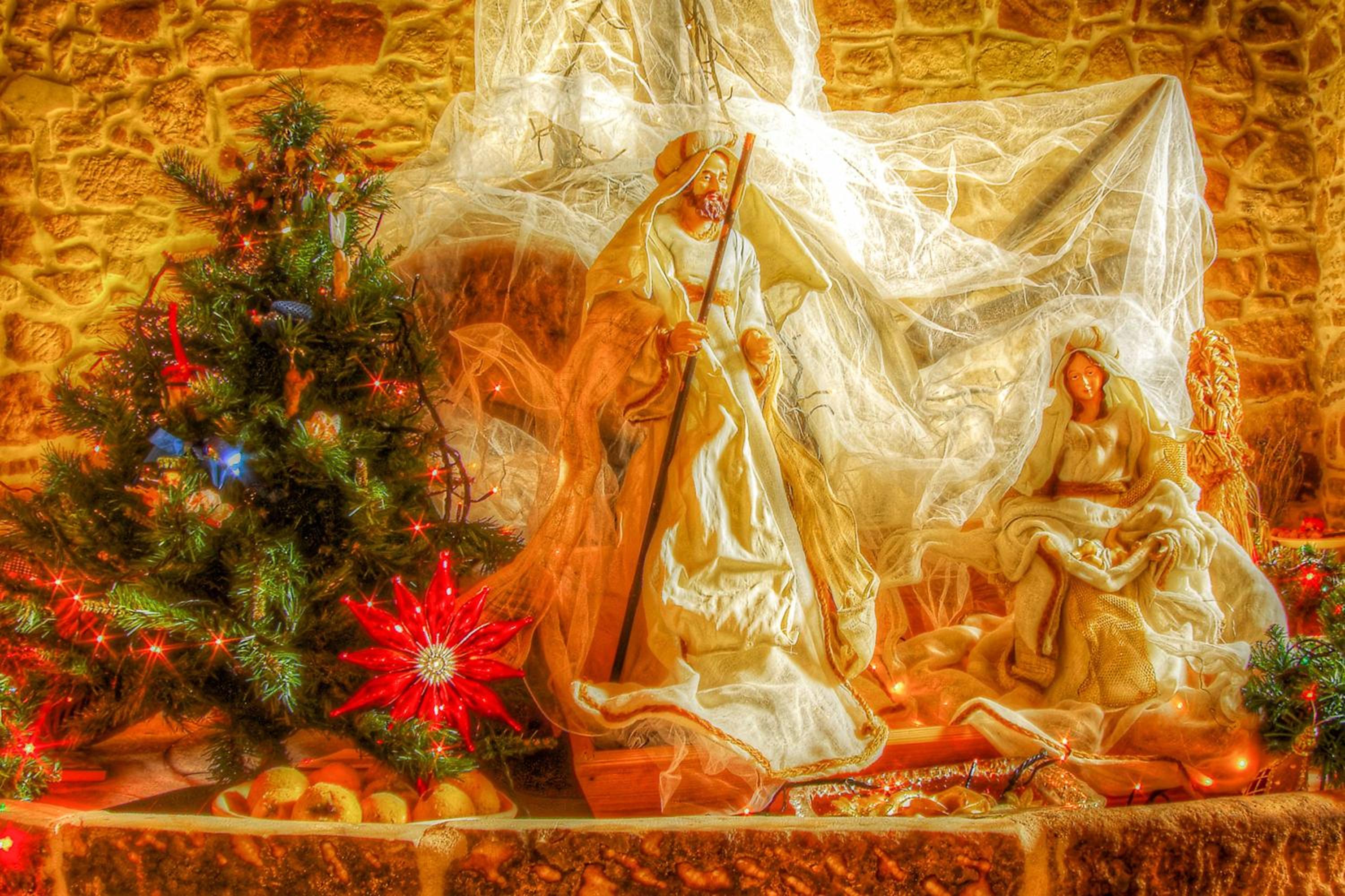 Photo 69