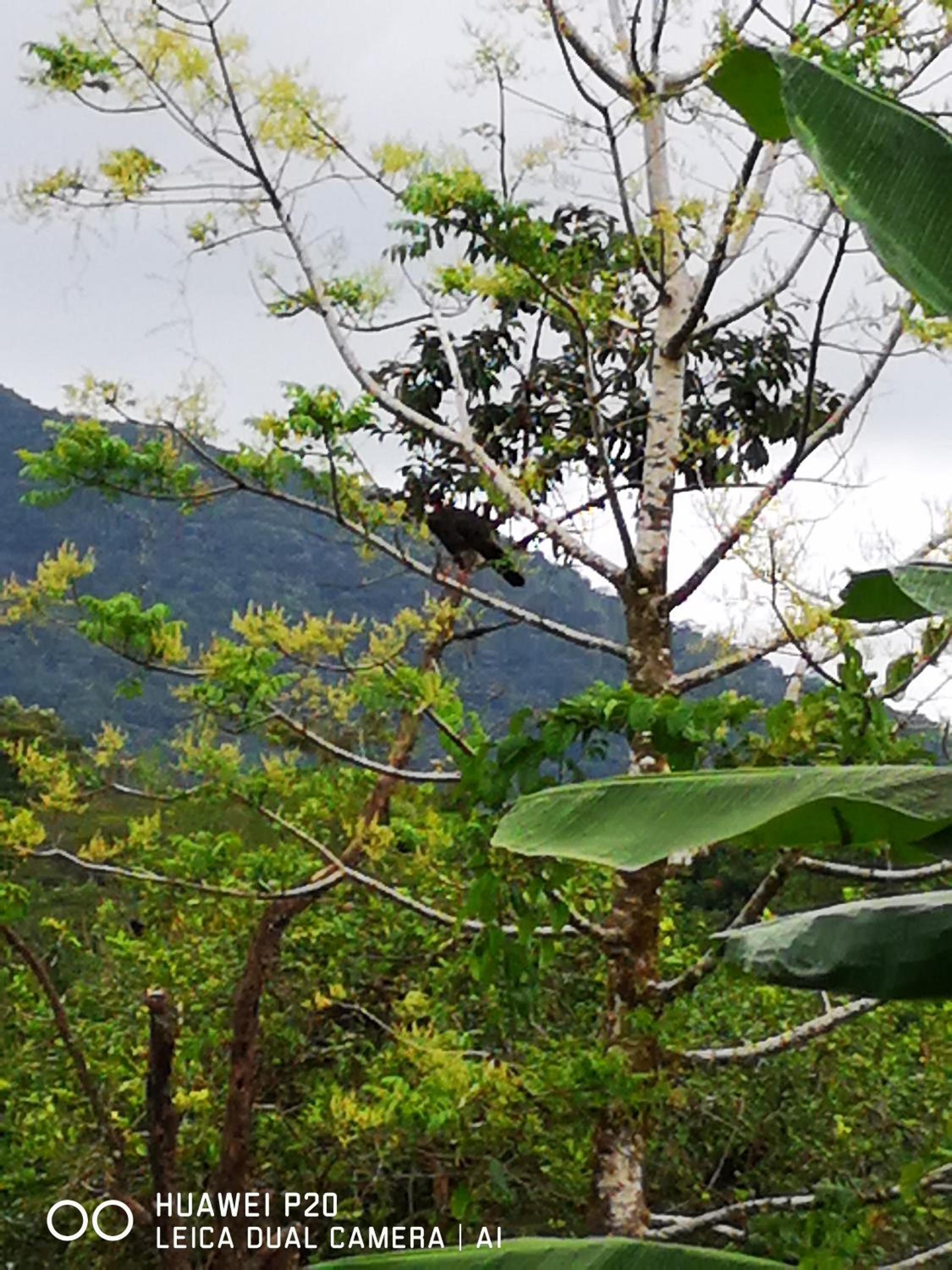 Tío Felix Eco Lodge
