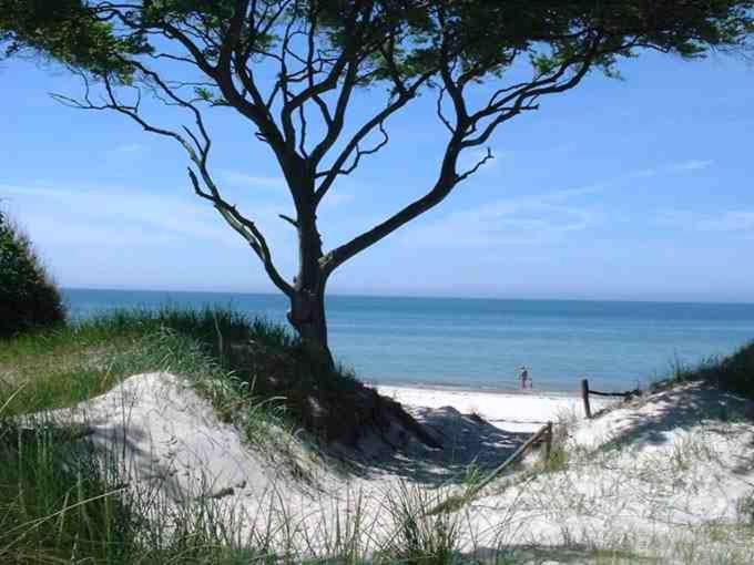 Ferienwohnung SÜN en Zingst — other