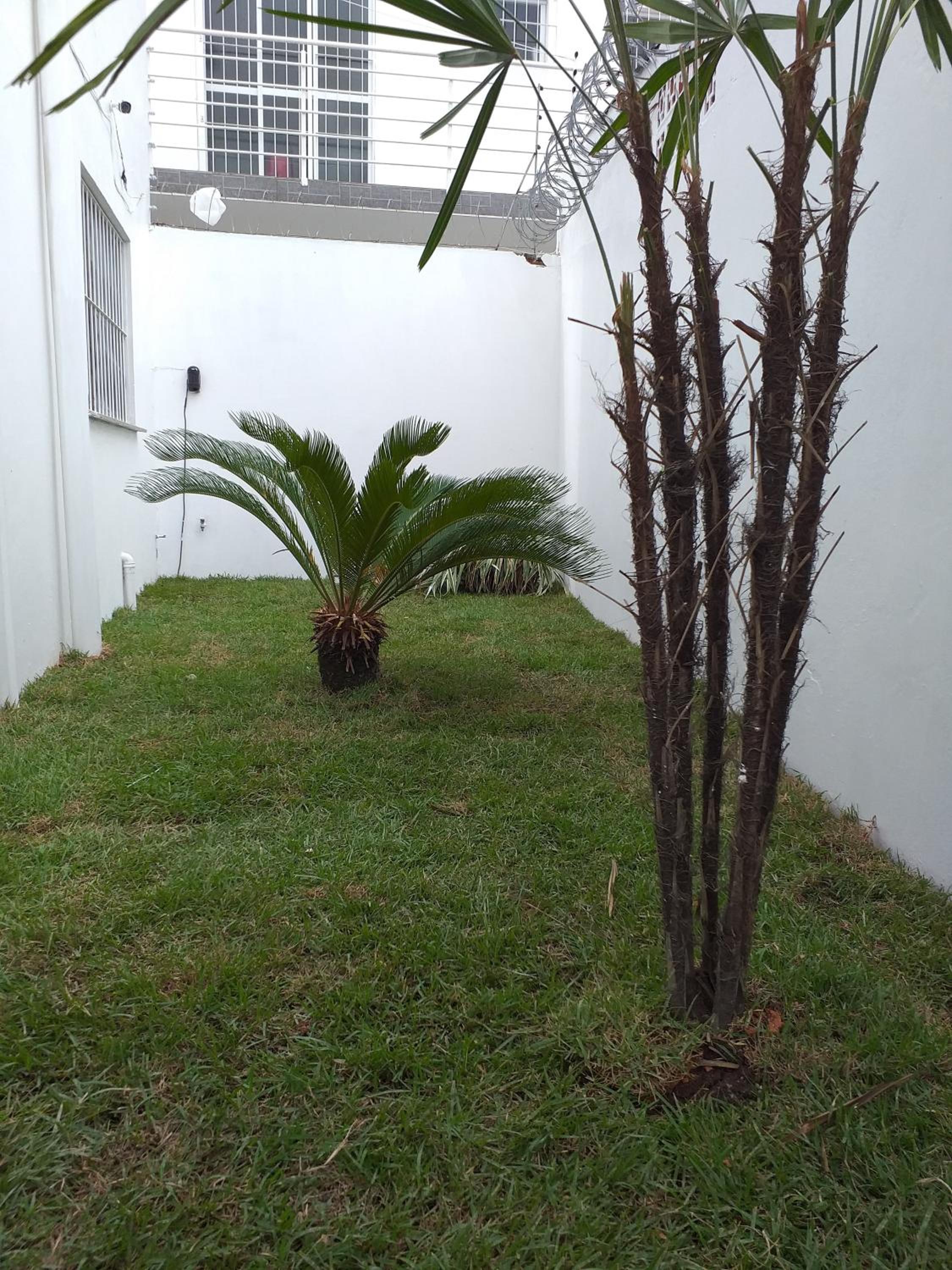 Photo 46