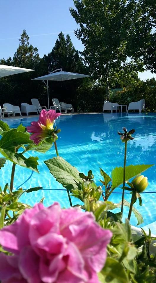 Agriturismo Pirro view 3