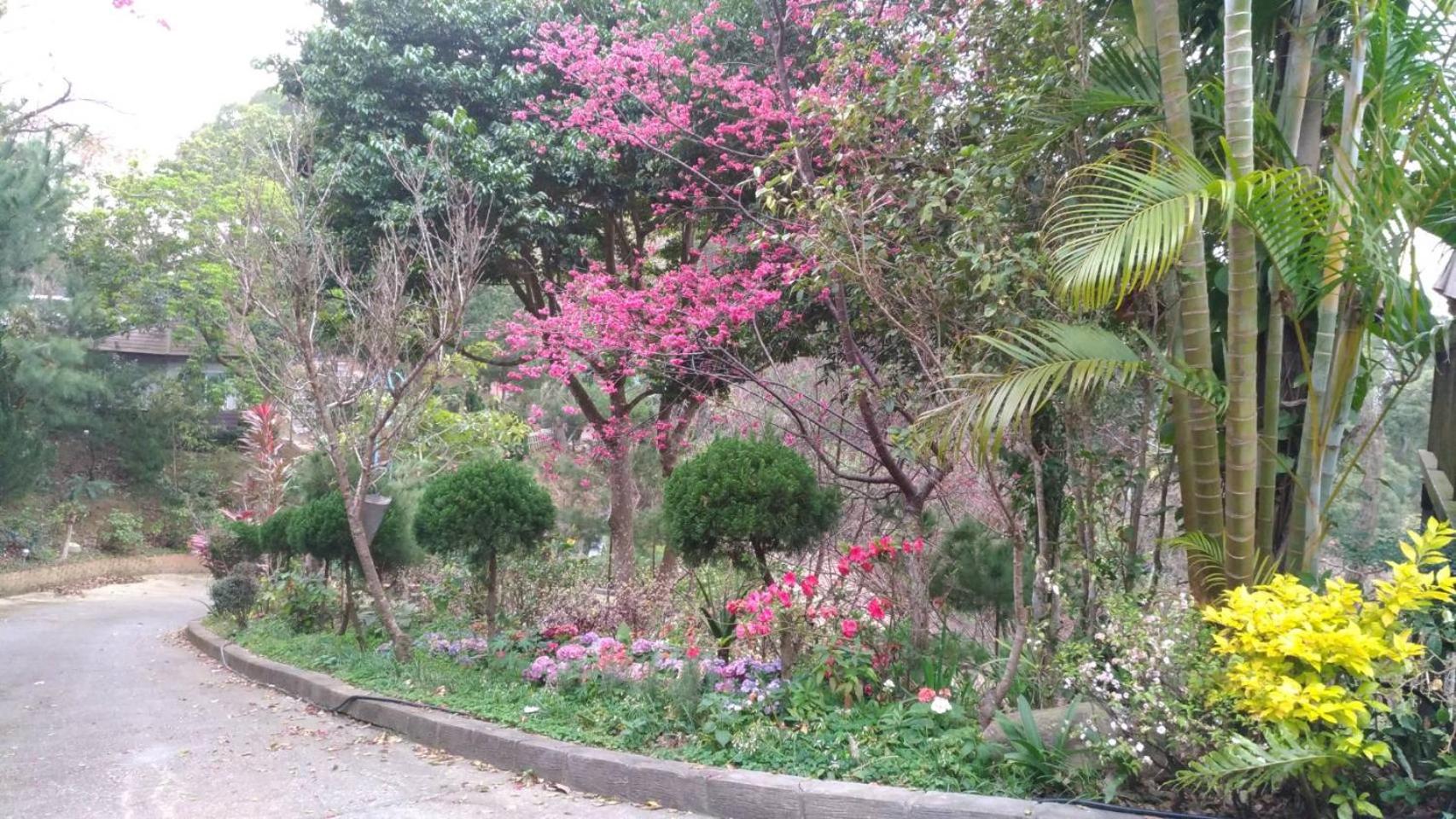 Ruyi Yuan Homestay view 4