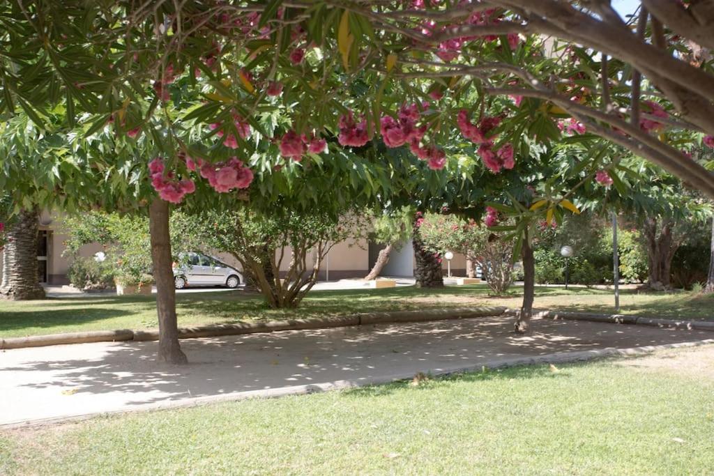Appartement calme, clim, patio XXL, piscine&parking