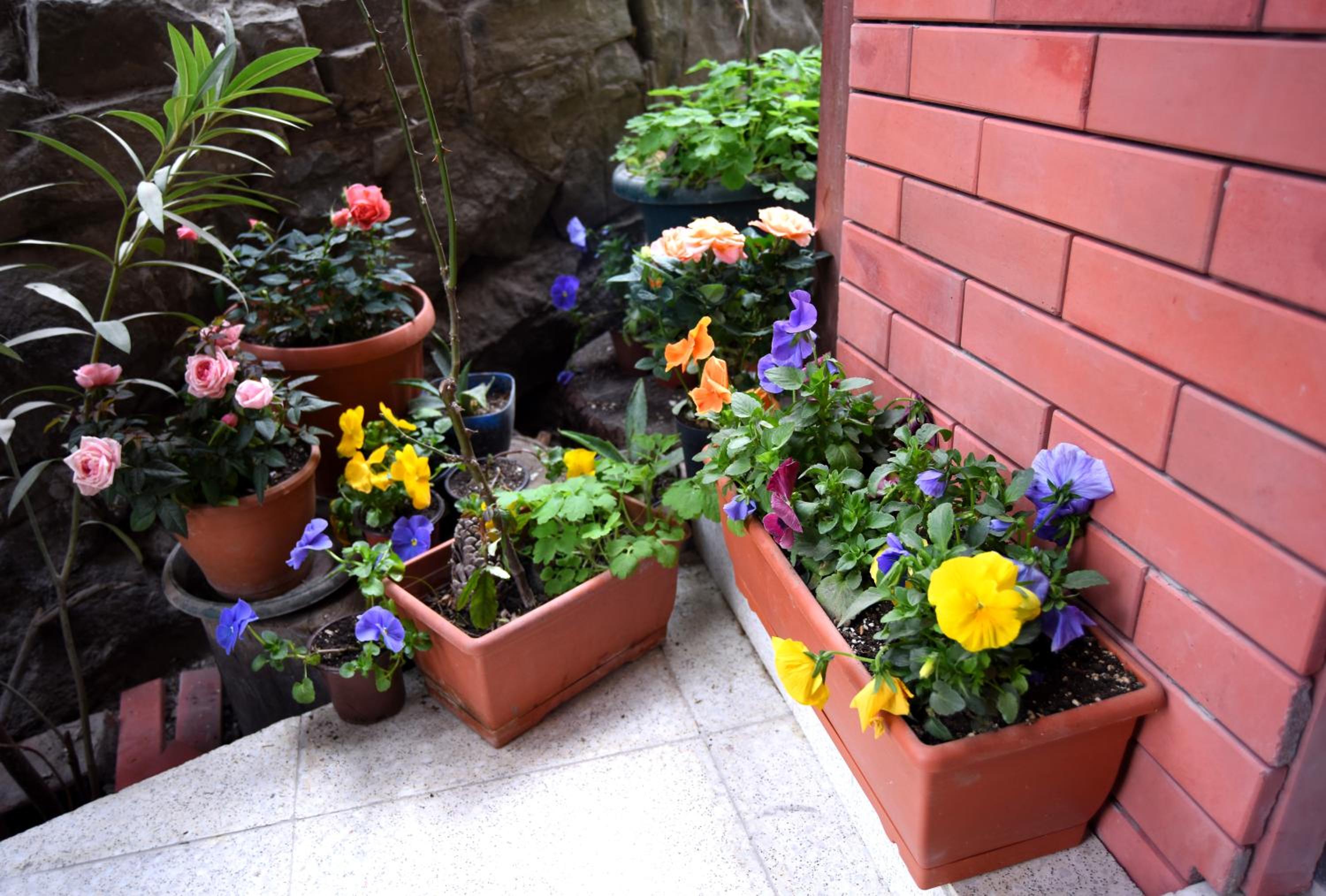 Photo 46
