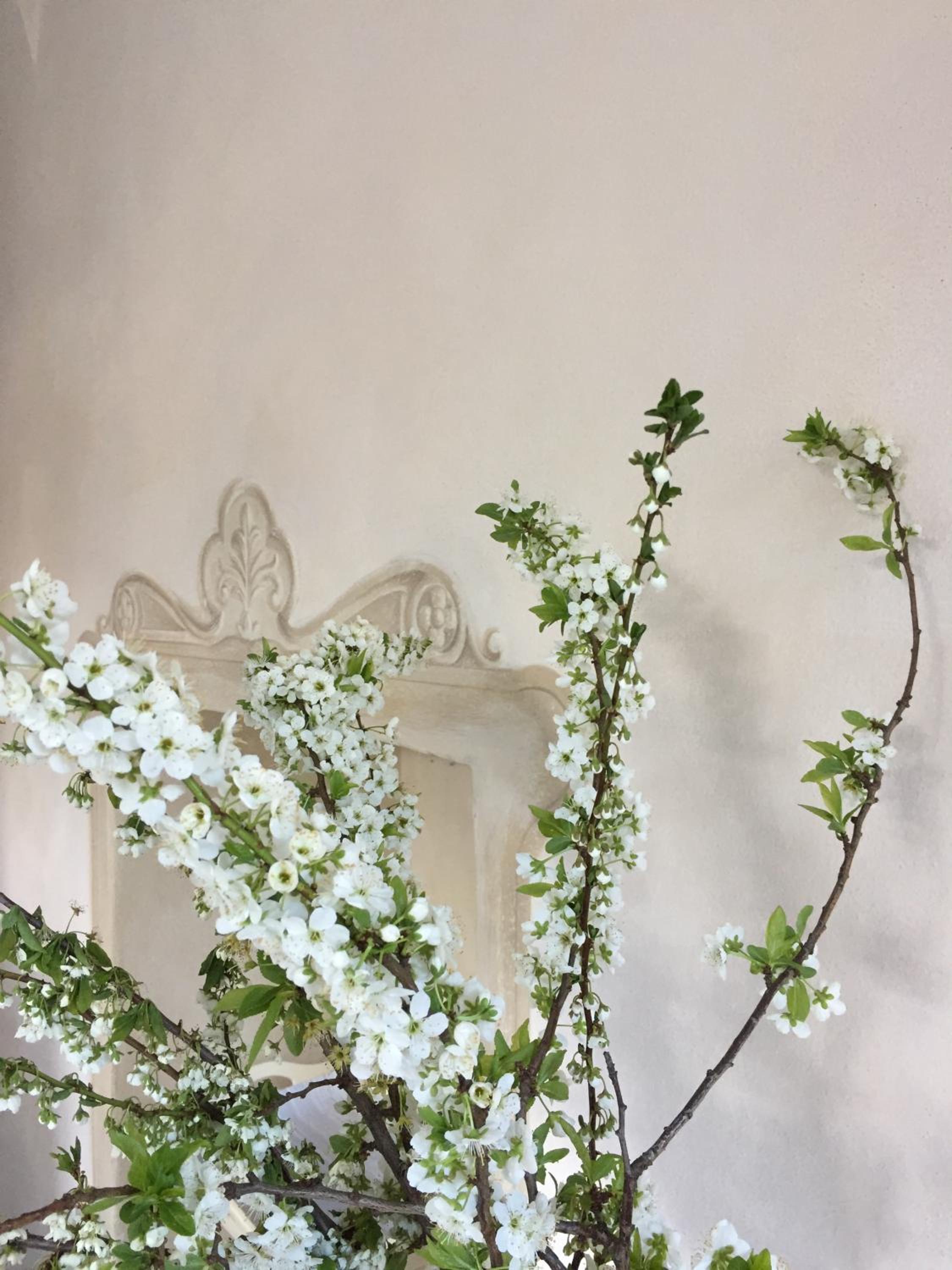 B&B Villa Costanza