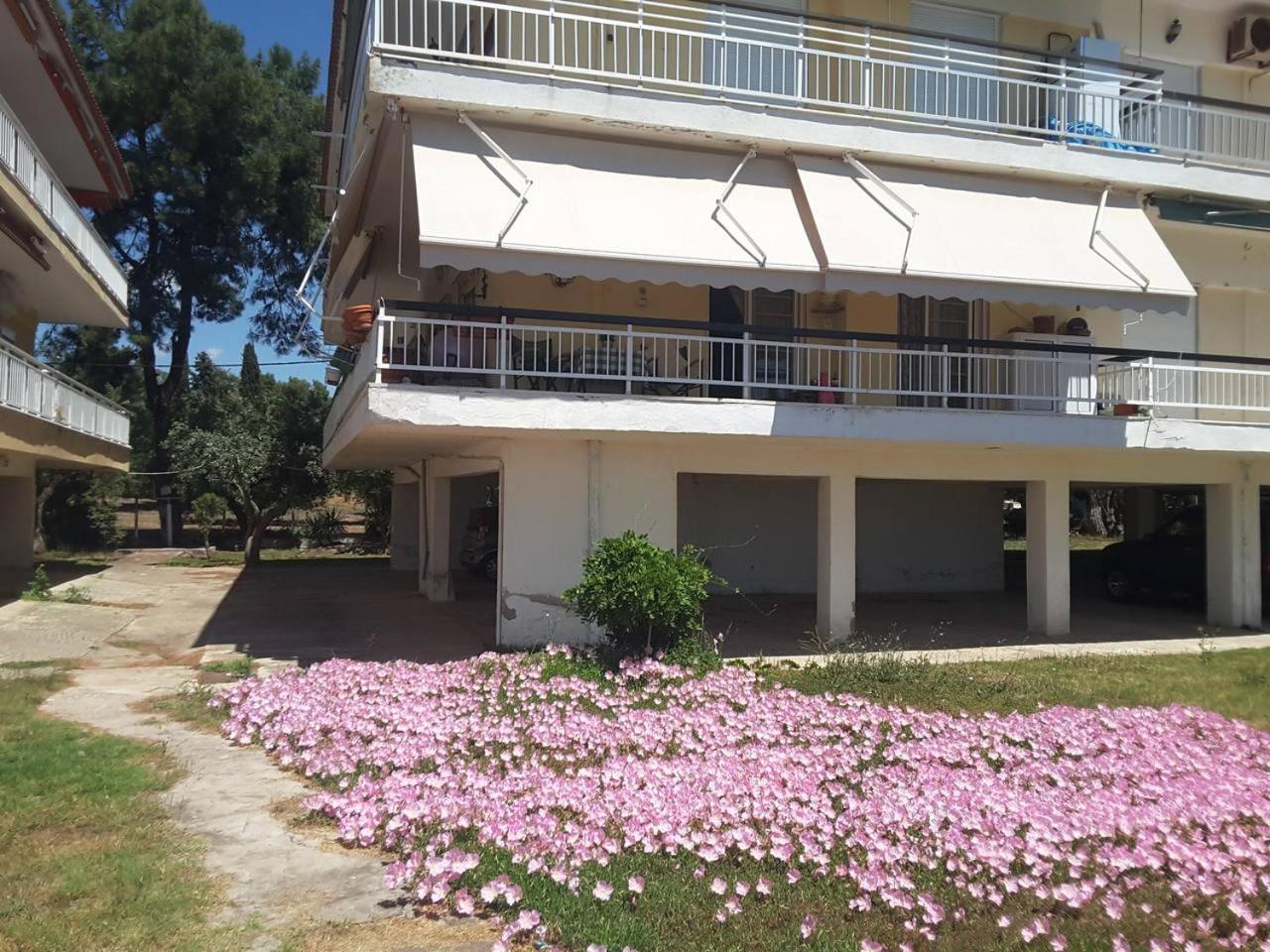 Metamorphosis - Halkidiki Apartment on the beach view 5