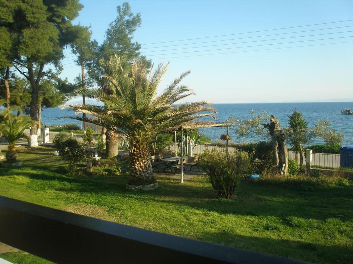 Photo 7
