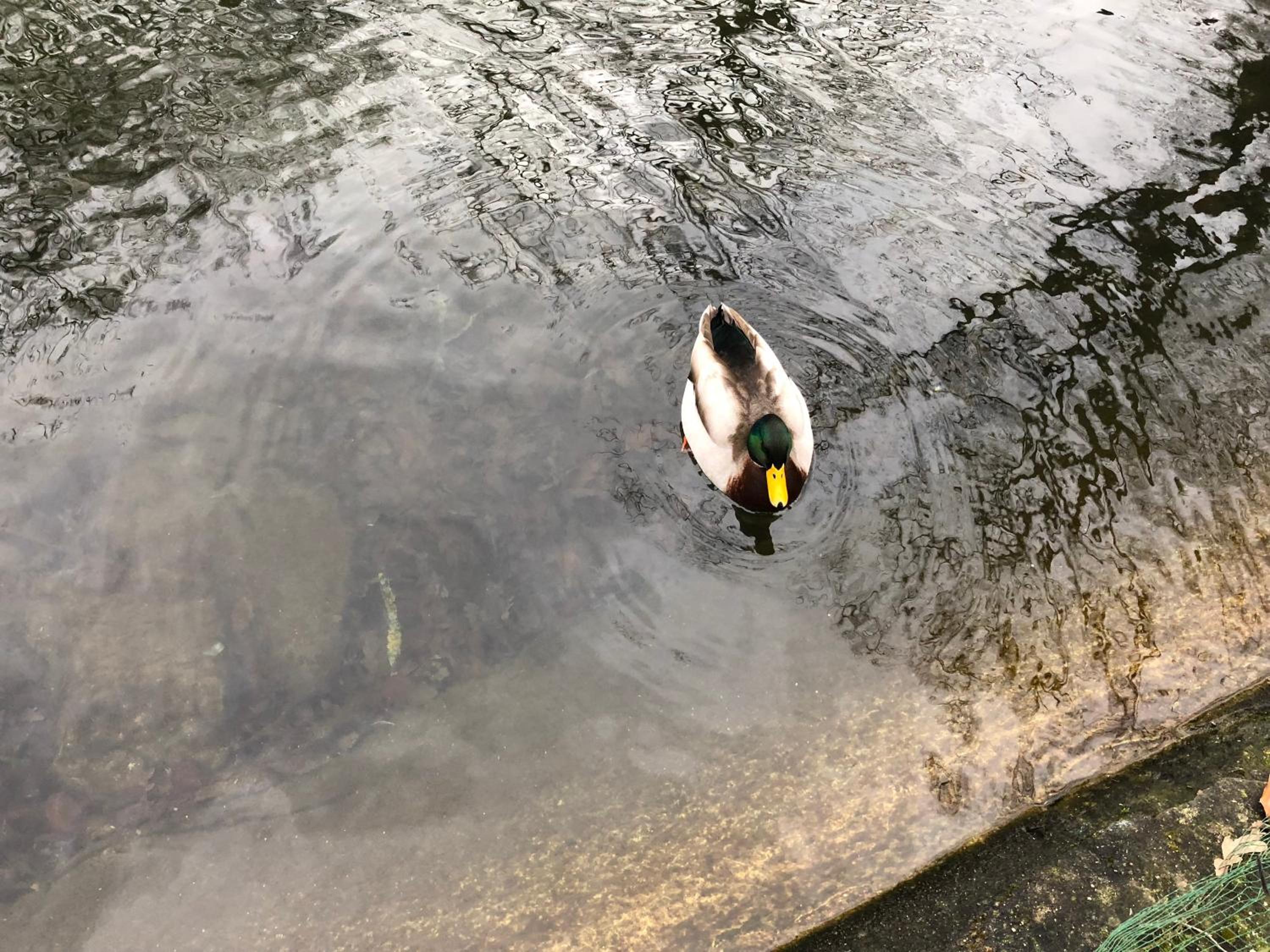 Au fil de l'eau