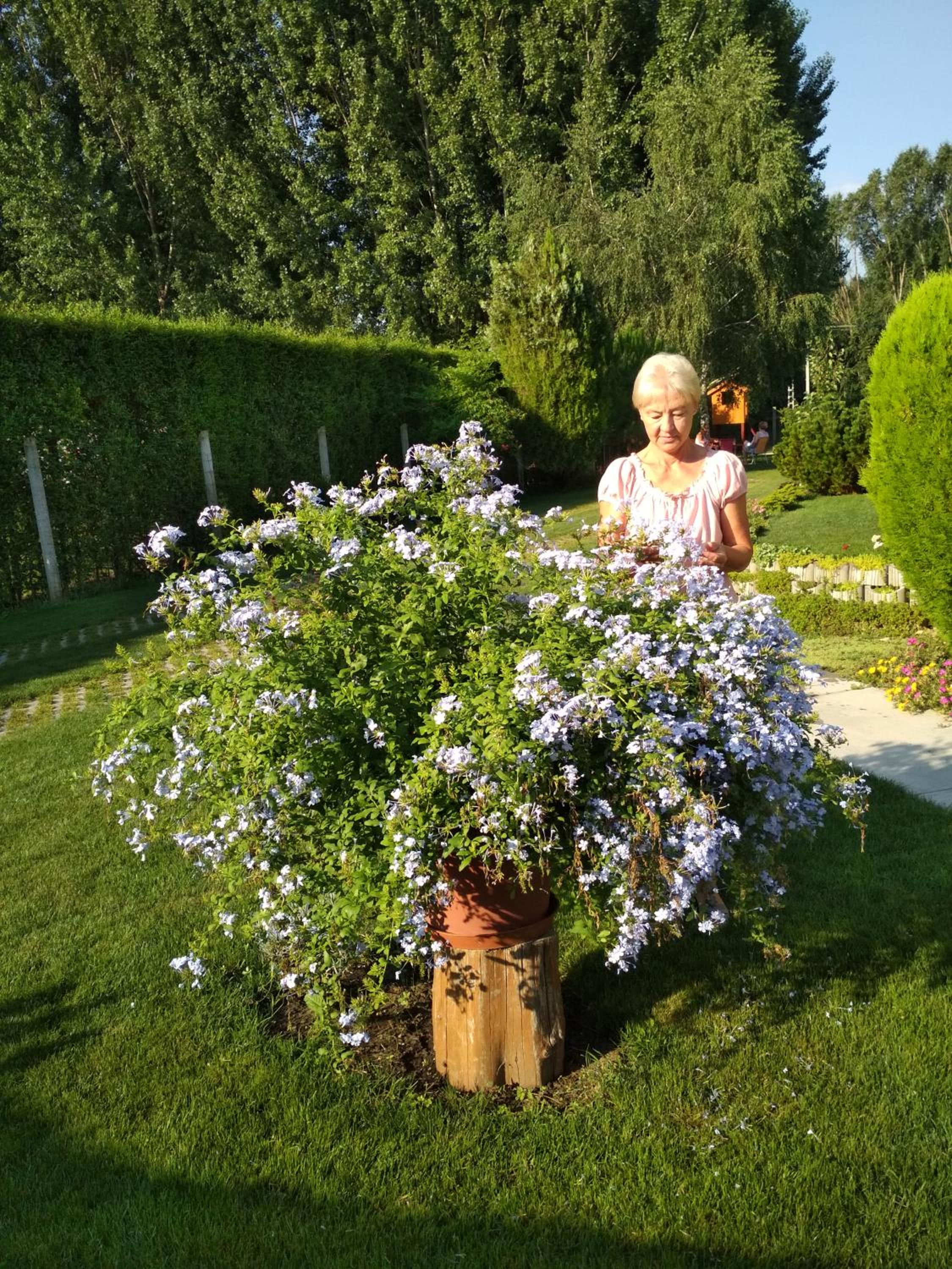 Photo 42