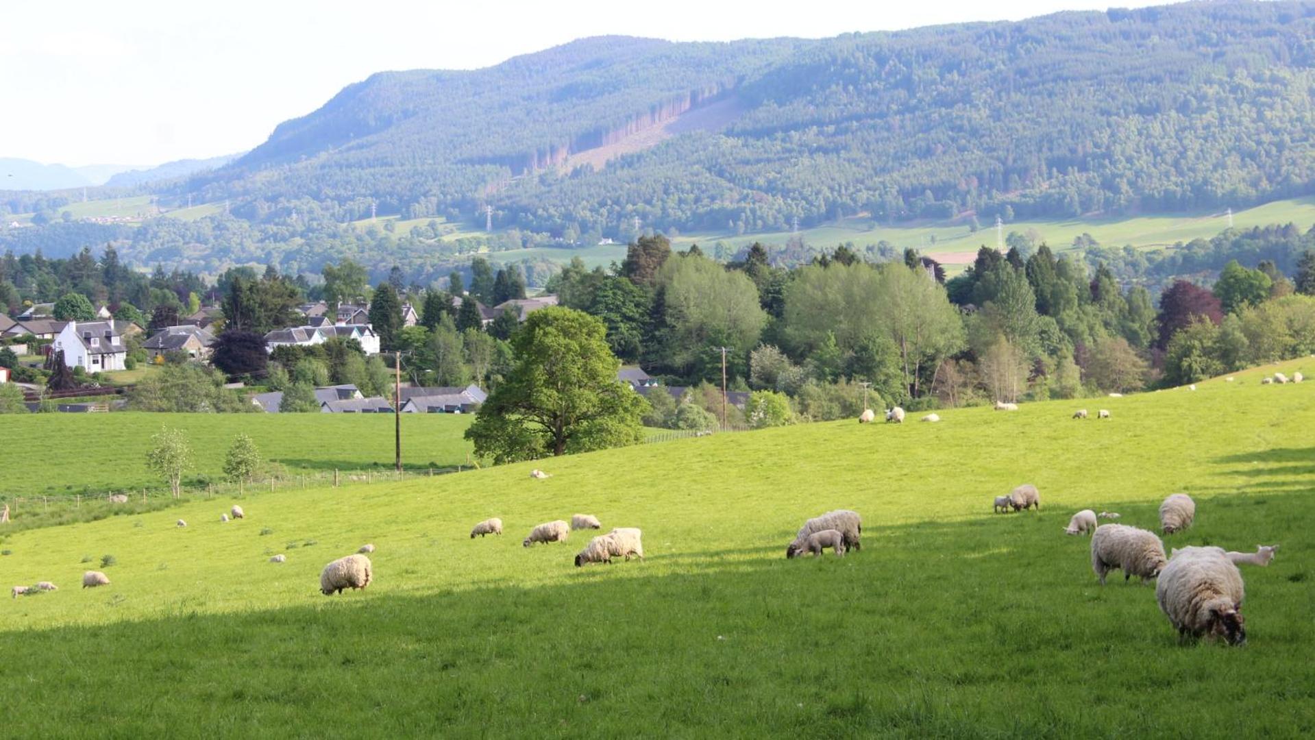 Pitlochry Youth Hostel
