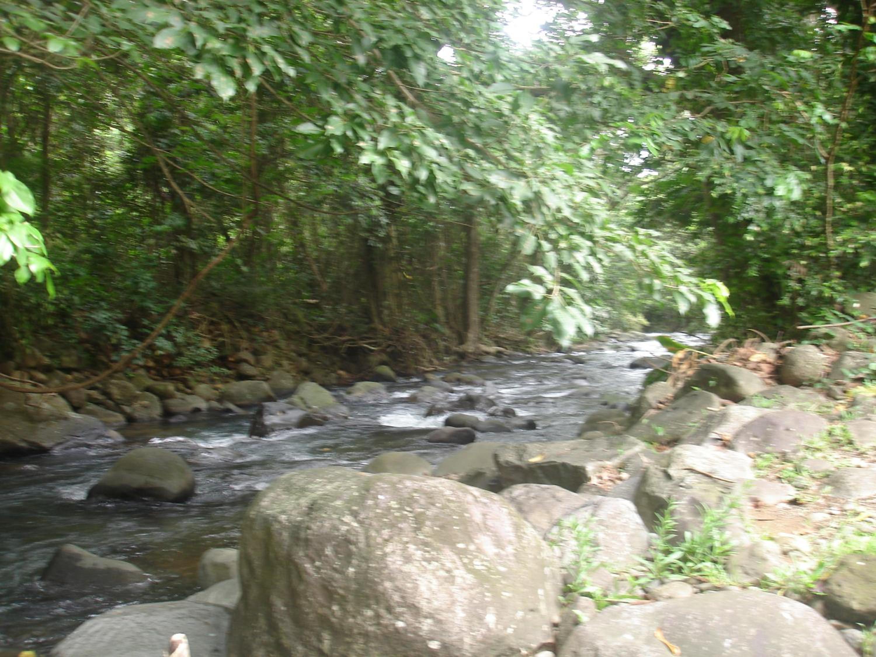 Photo 27