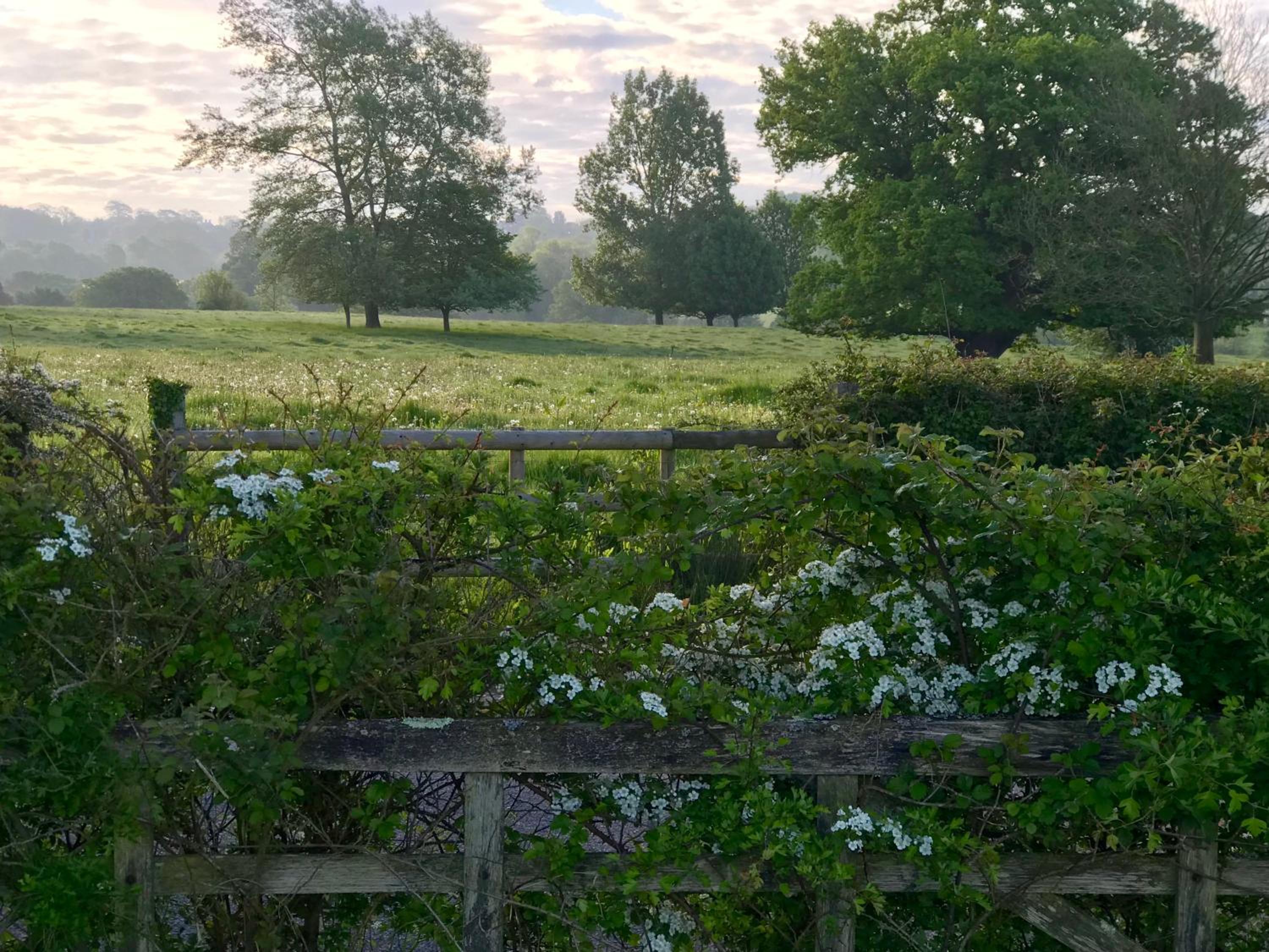 Potts Farm view 5