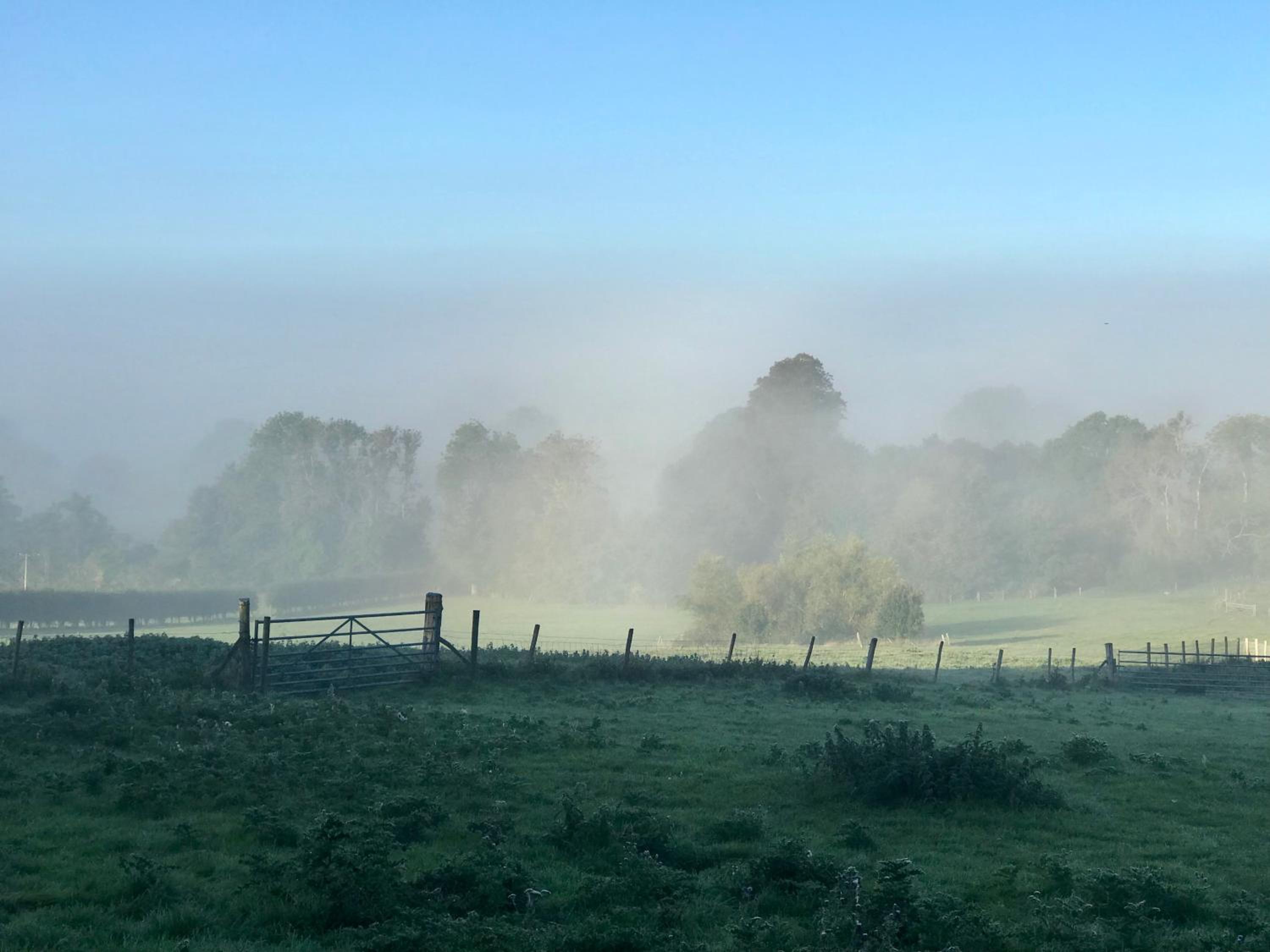 Potts Farm view 4