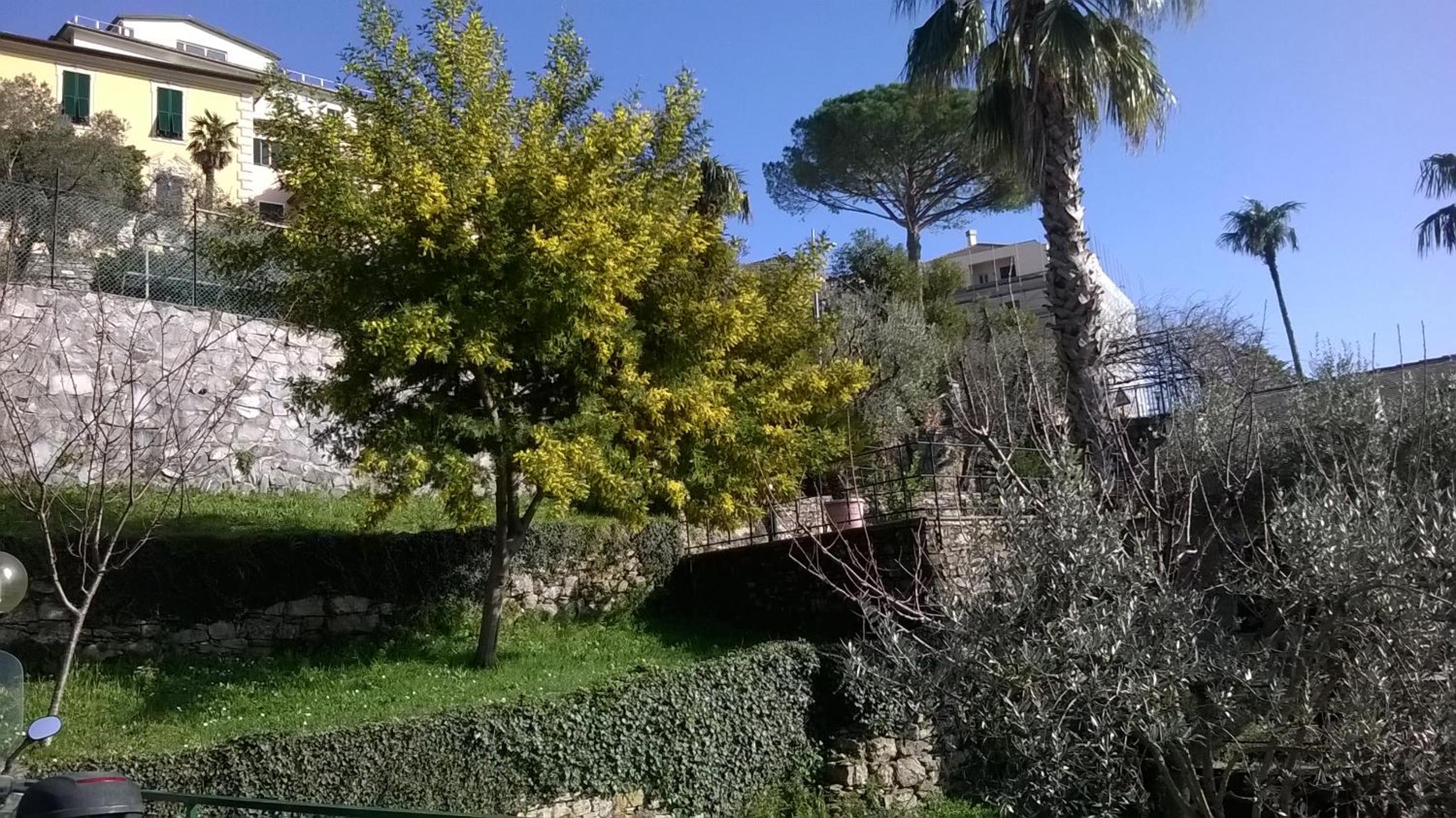 Photo 35