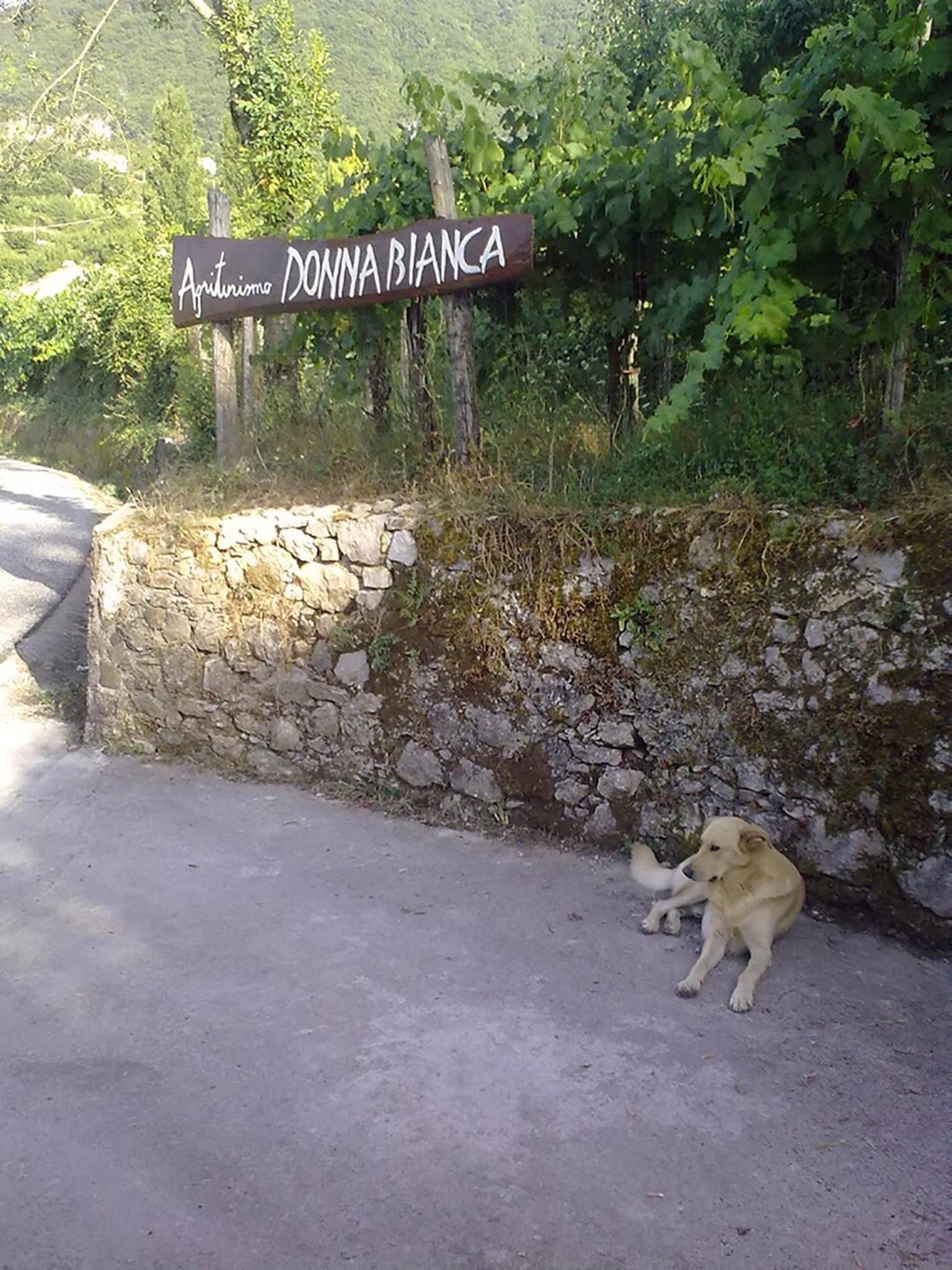 Agriturismo Donna Bianca