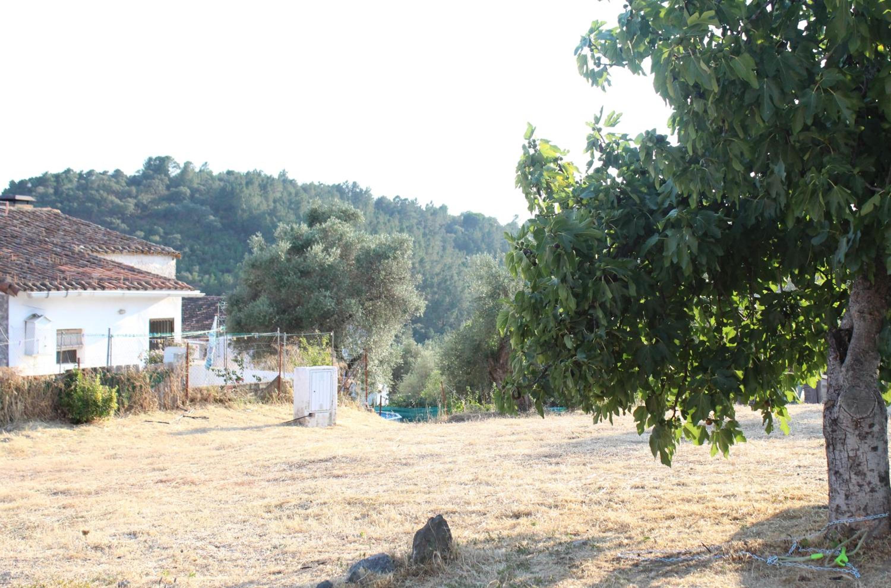 Casas Rurales Los Montes view 2
