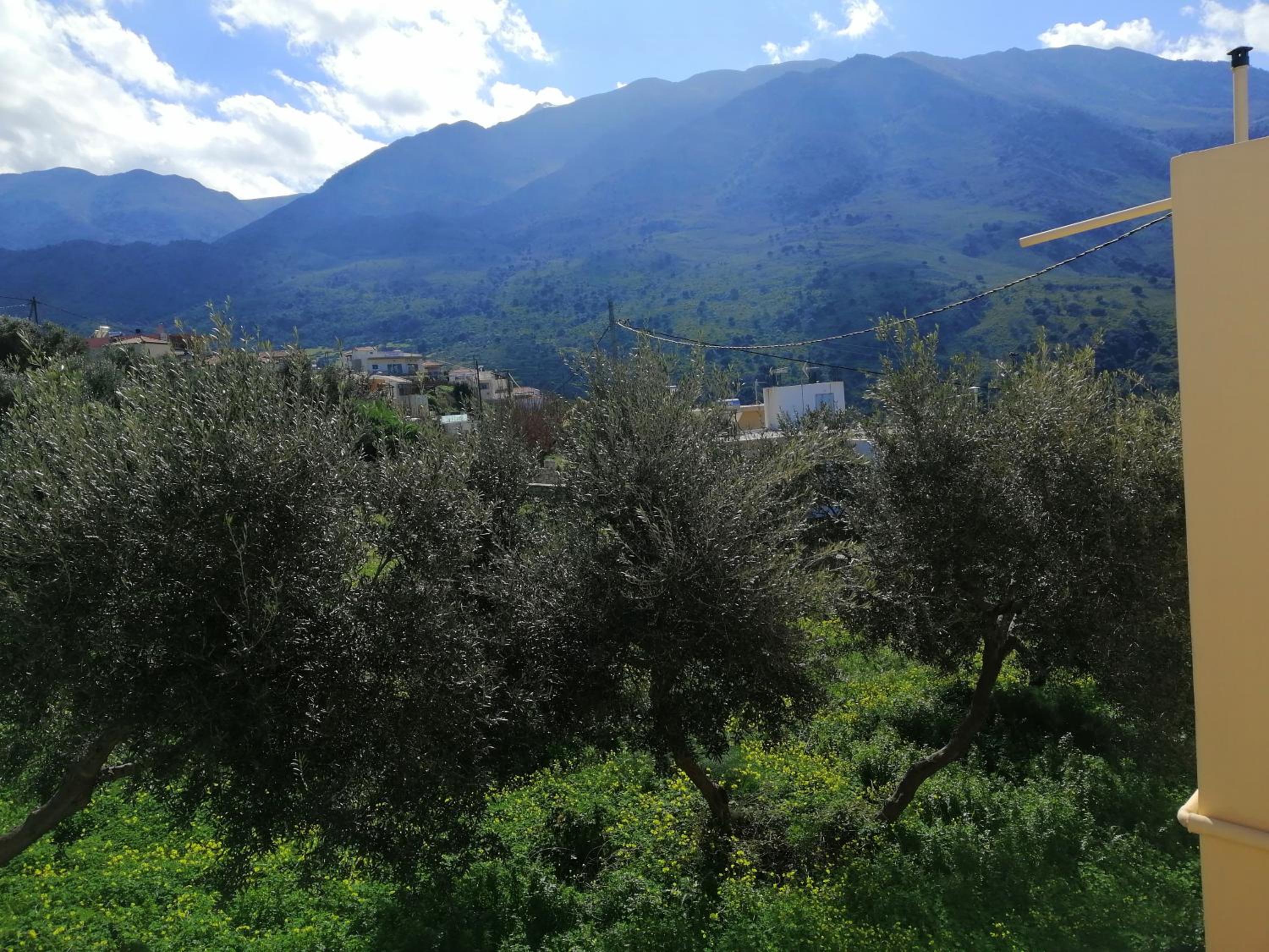 Photo 33