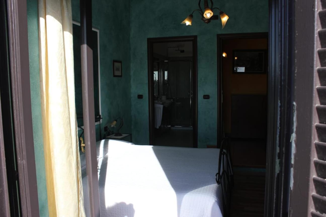 Photo 41