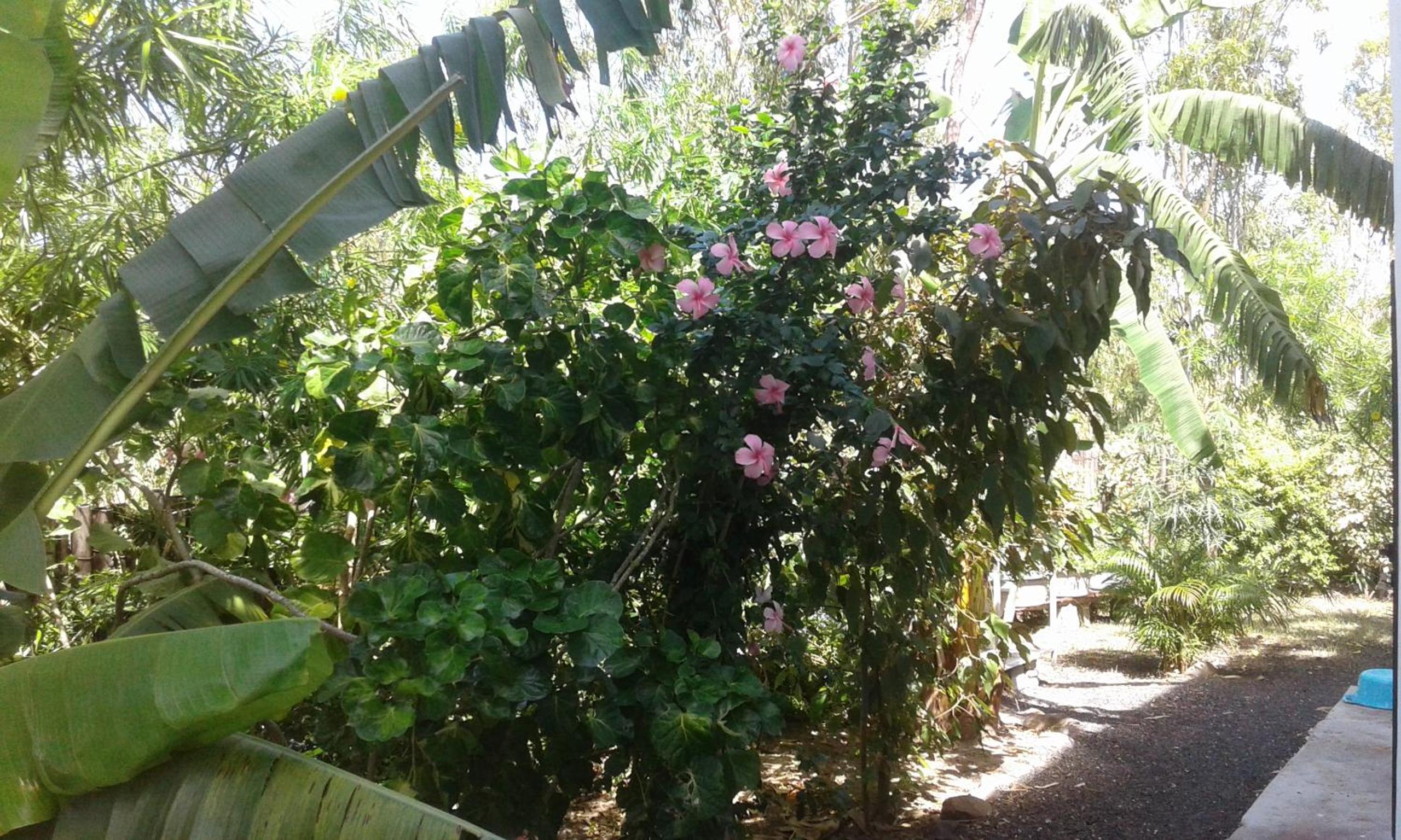 Photo 31