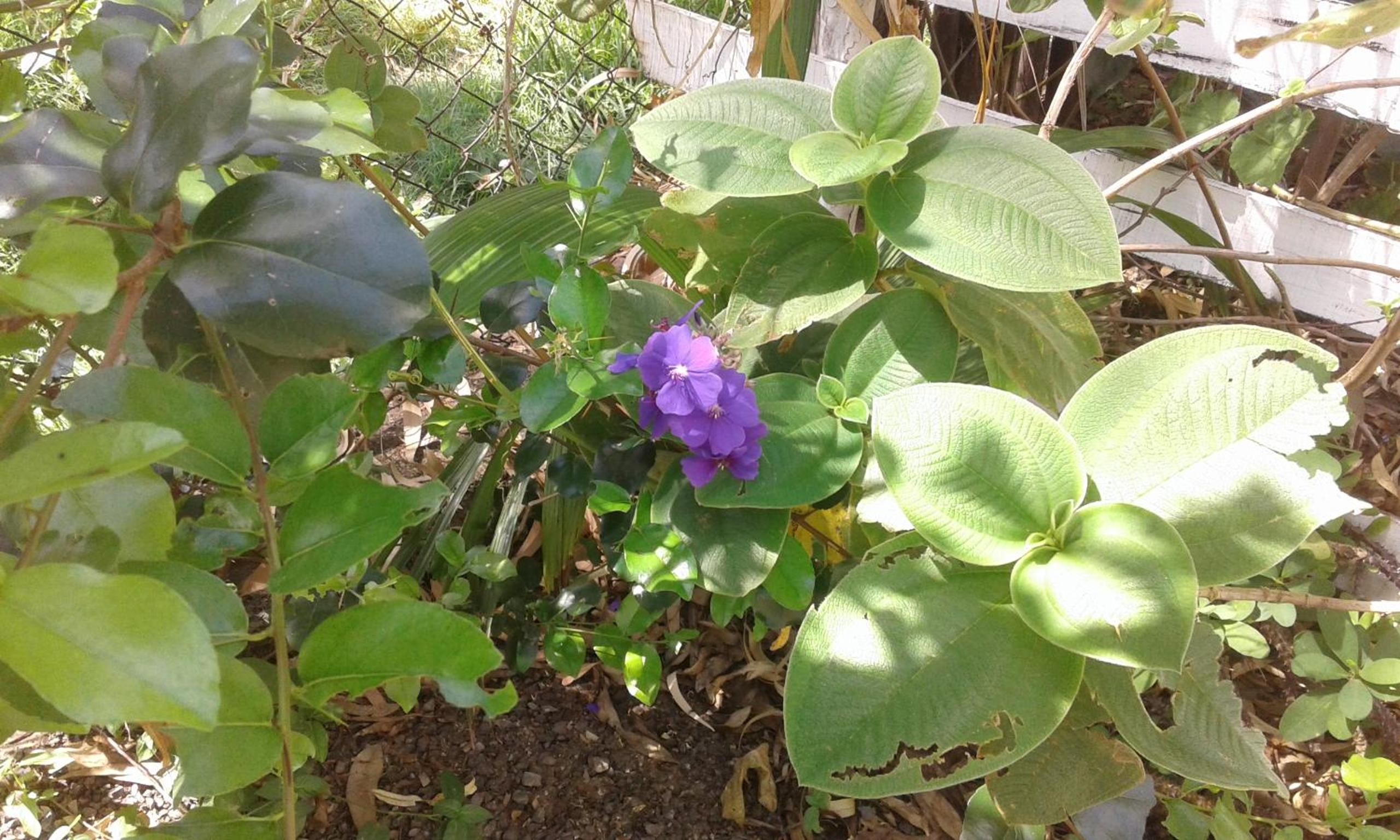 Photo 25