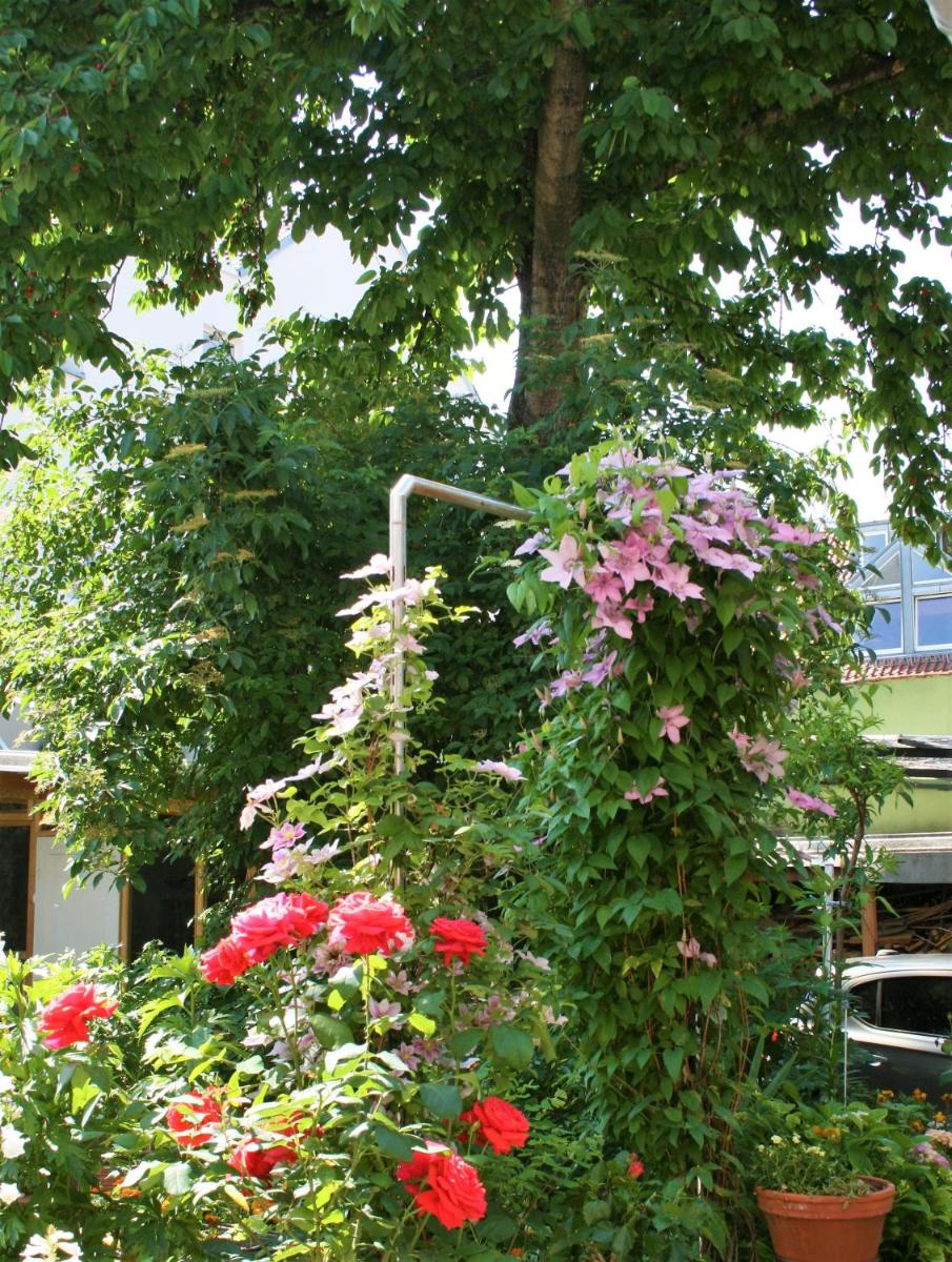 Herrenhof view 4
