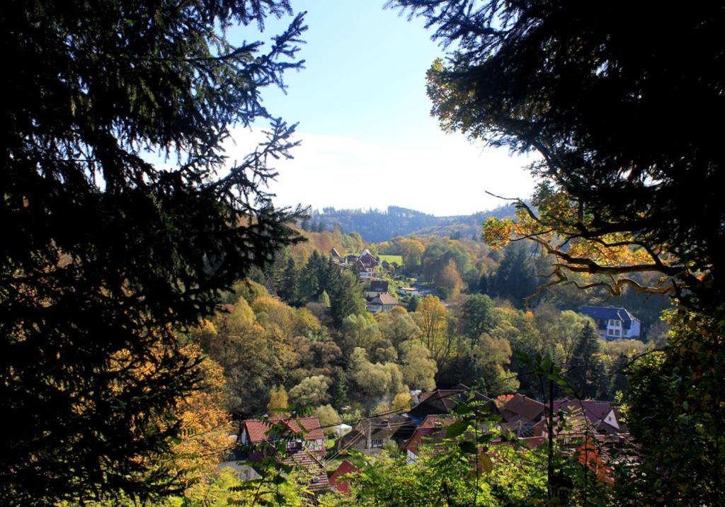 Ferienwohnungen mit Wellnessoase in Thale OT Altenbrak