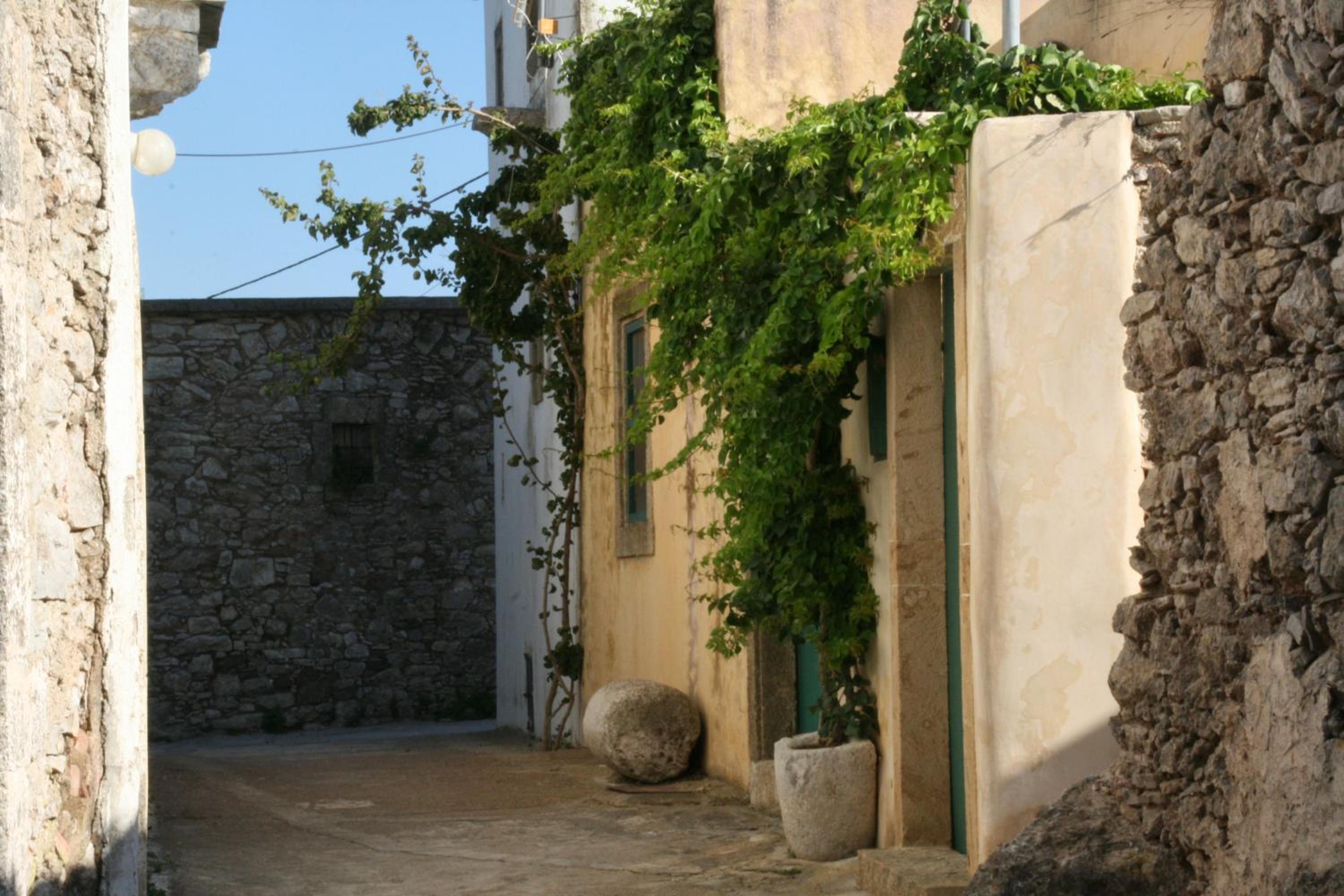 Axion Studios