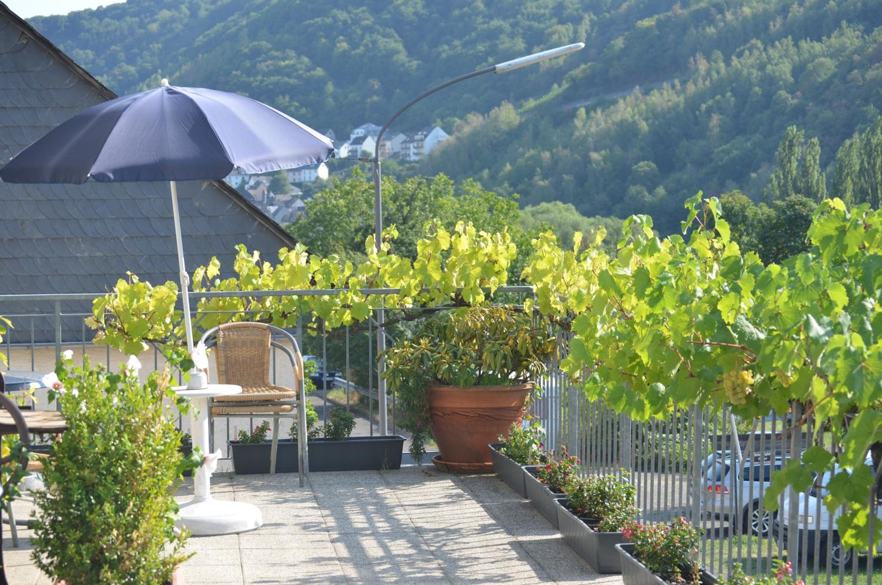 Weingut Sauer-Kettermann
