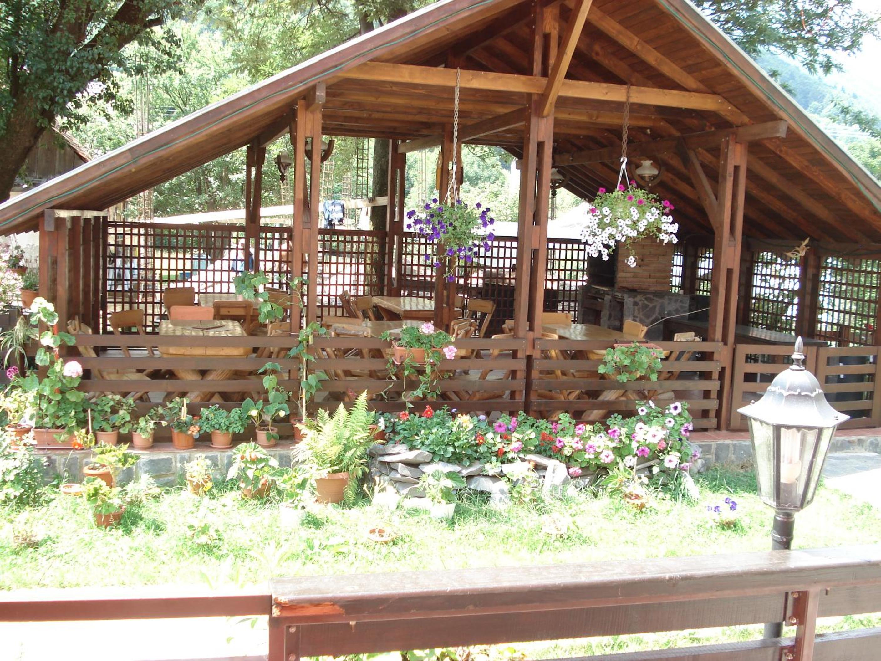 Photo 46