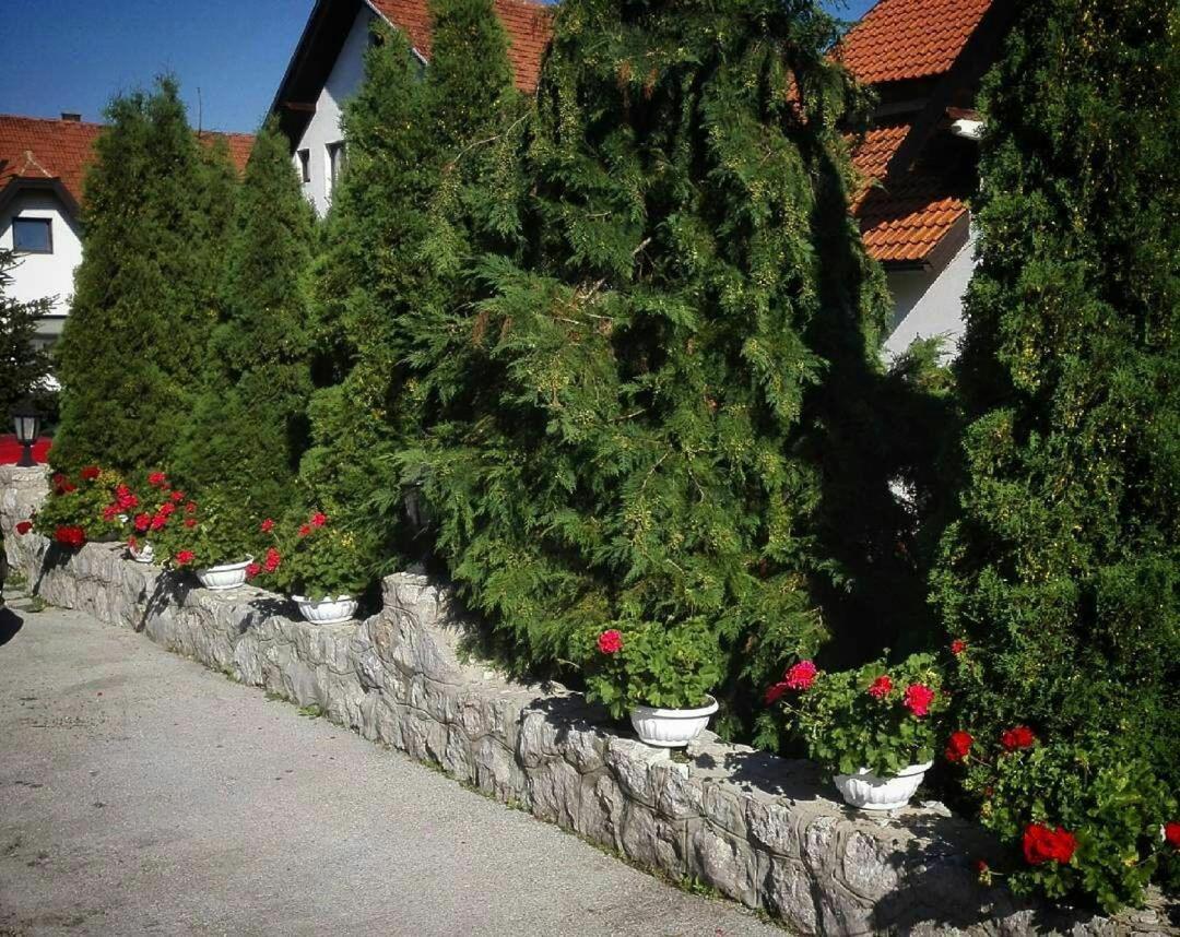 Božović MV Apartments view 4