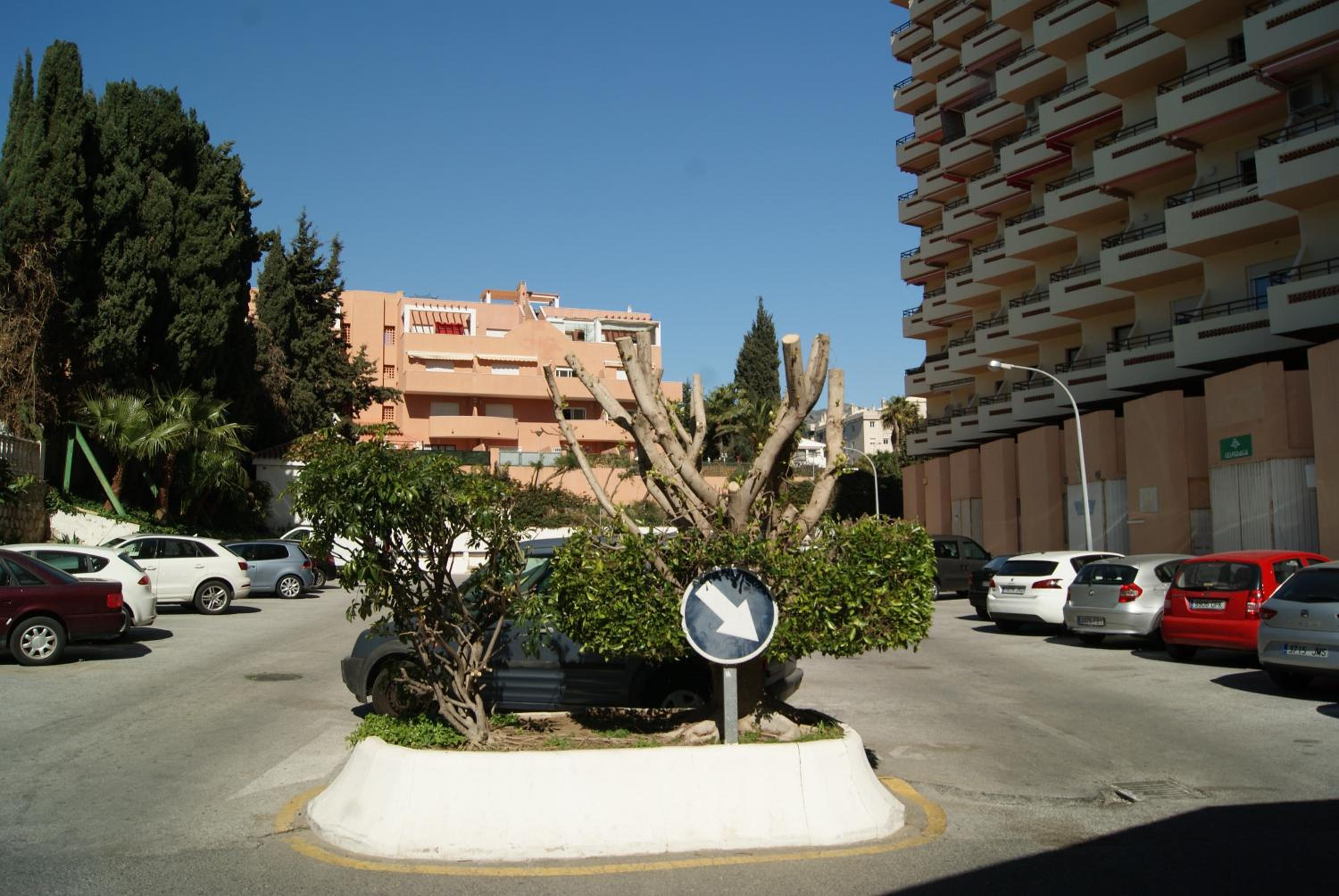 Photo 45