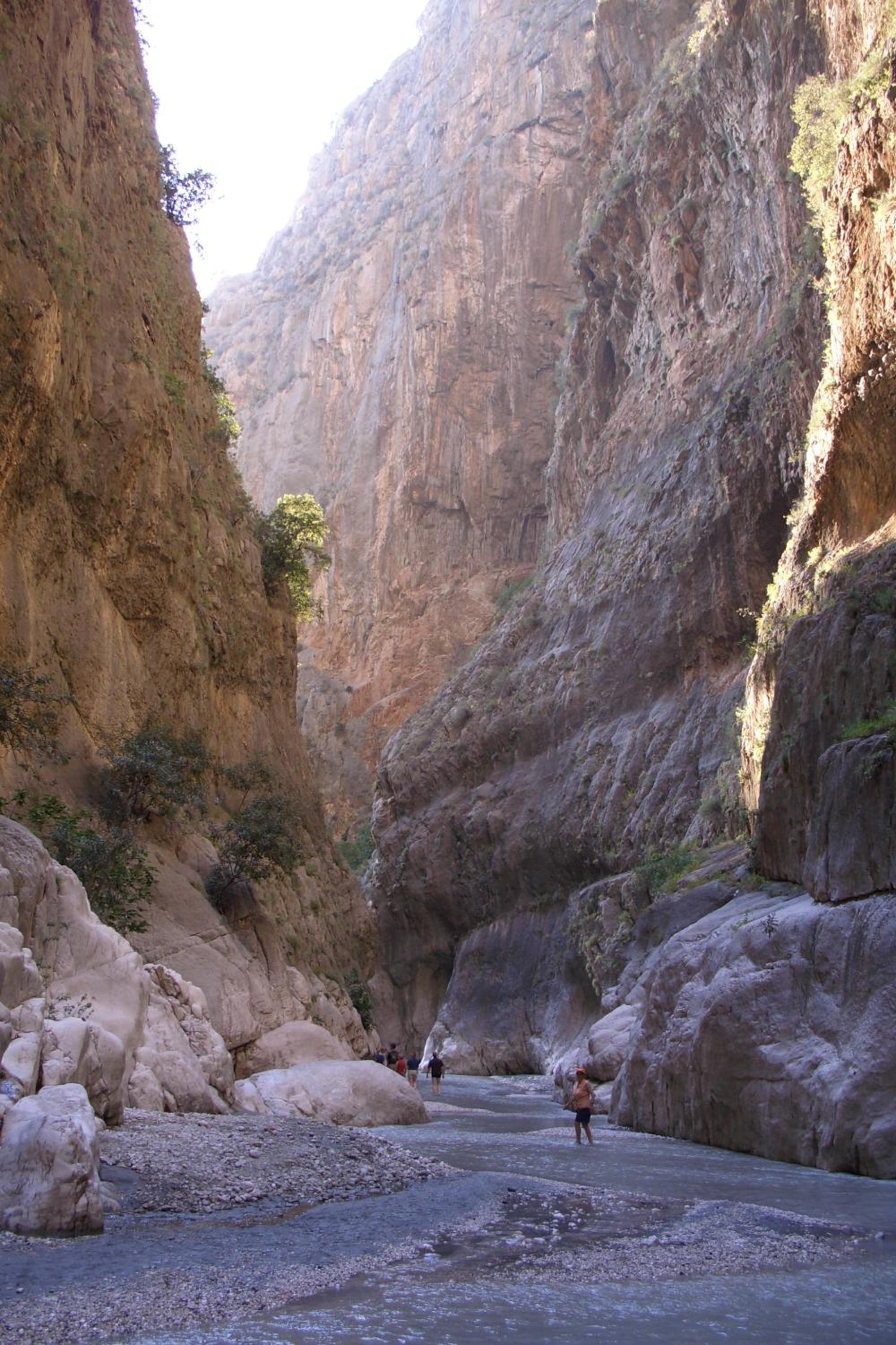 Photo 20