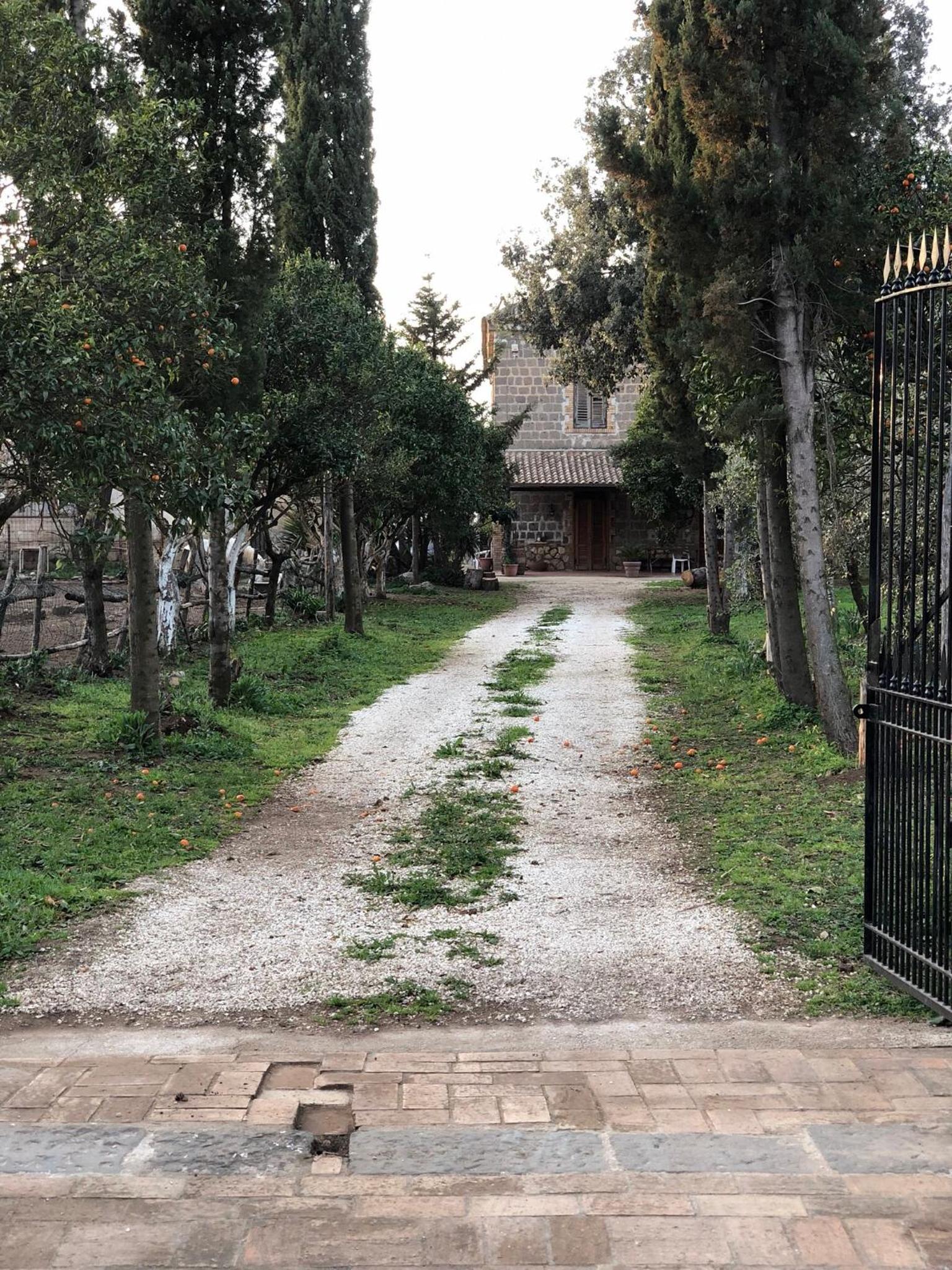 Decri resort, photo 11