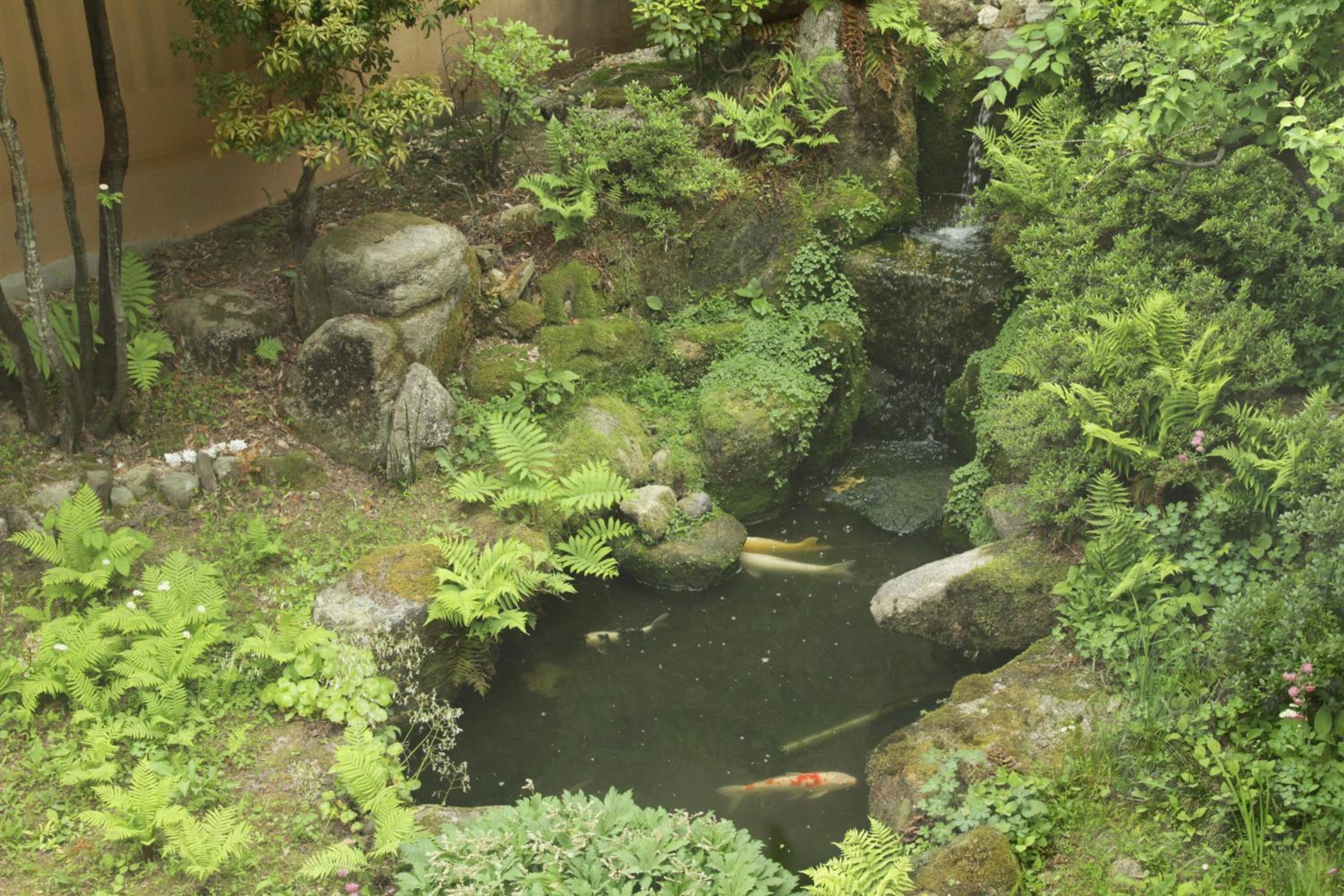 Yamabiko