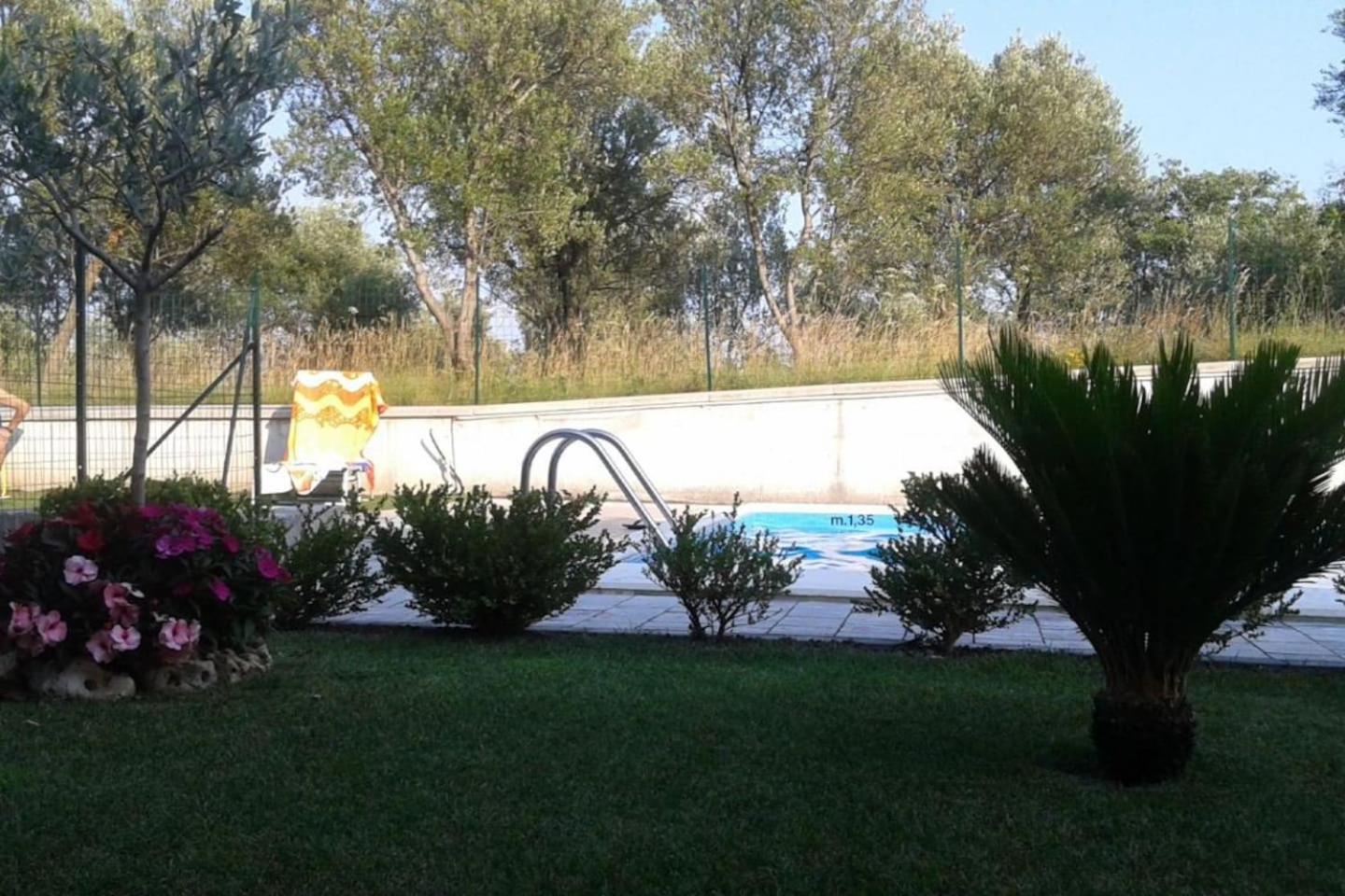 Photo 23