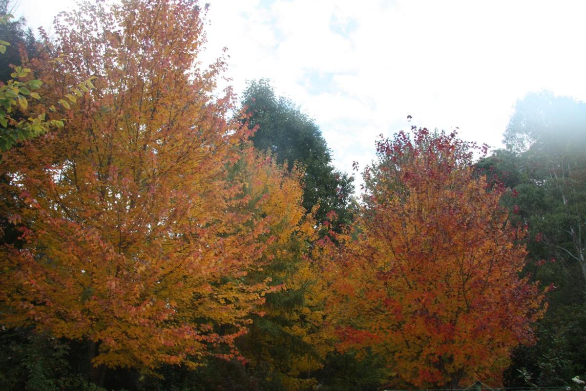 Photo 37