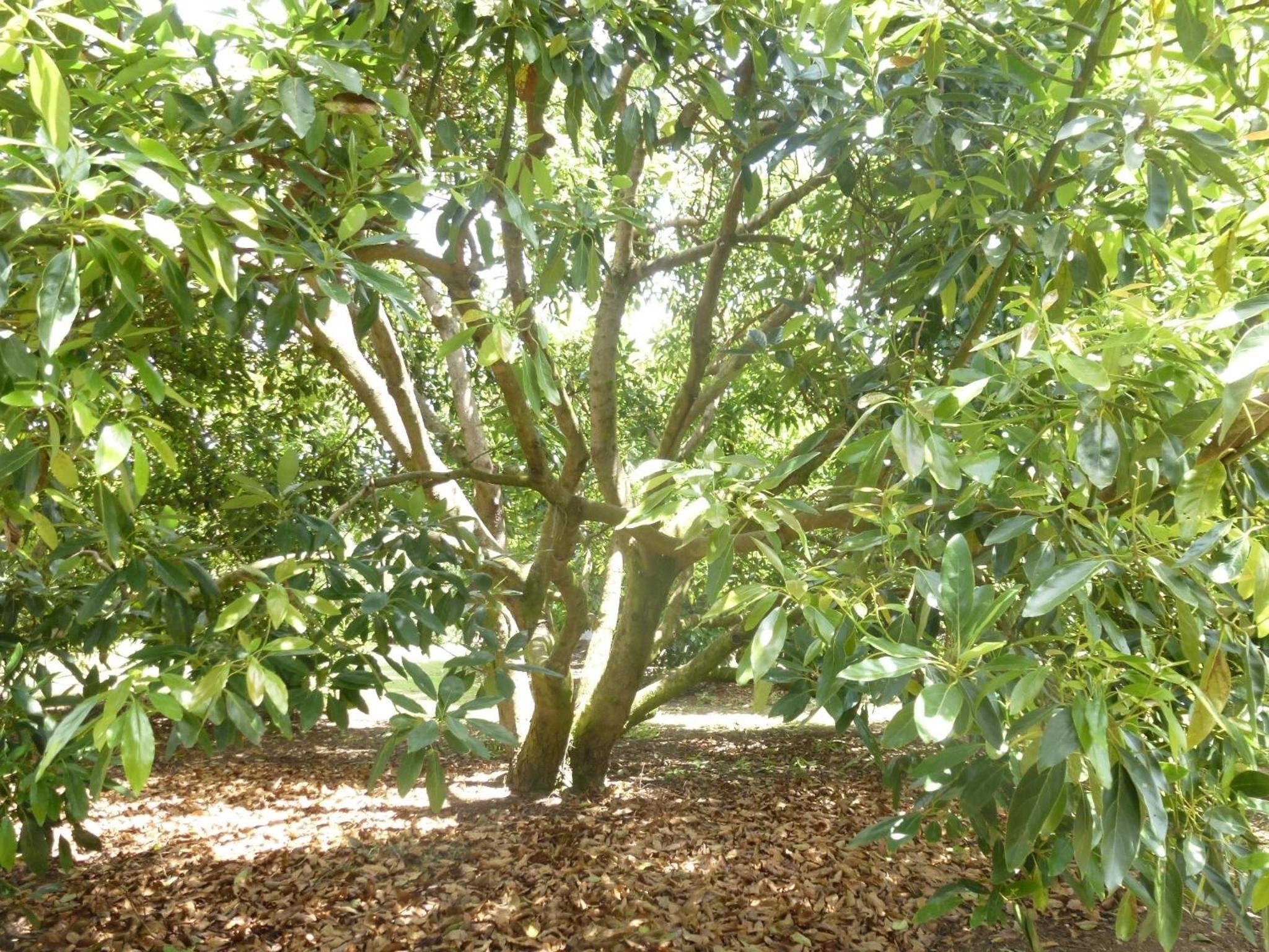 Photo 29