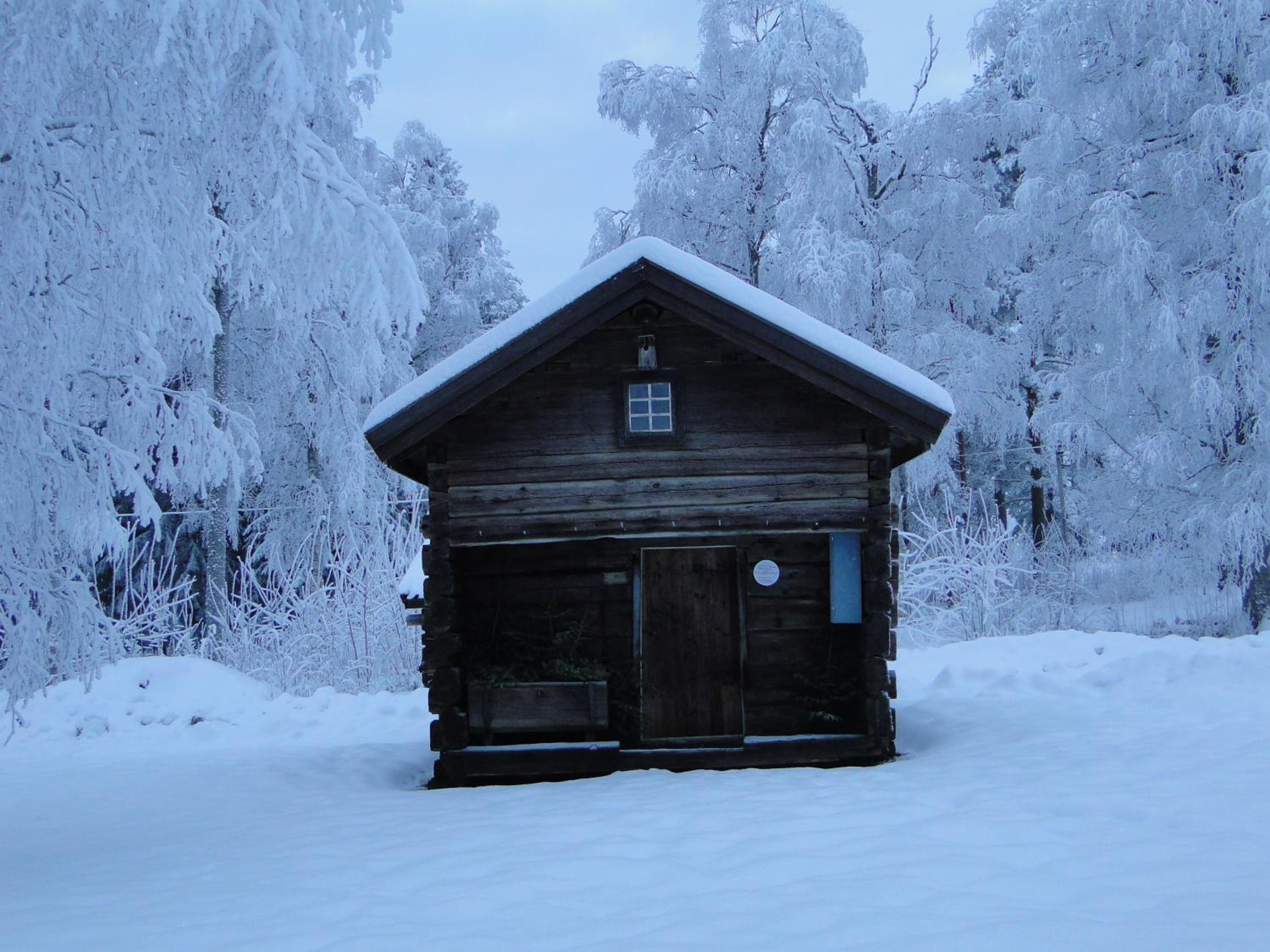 Photo 21