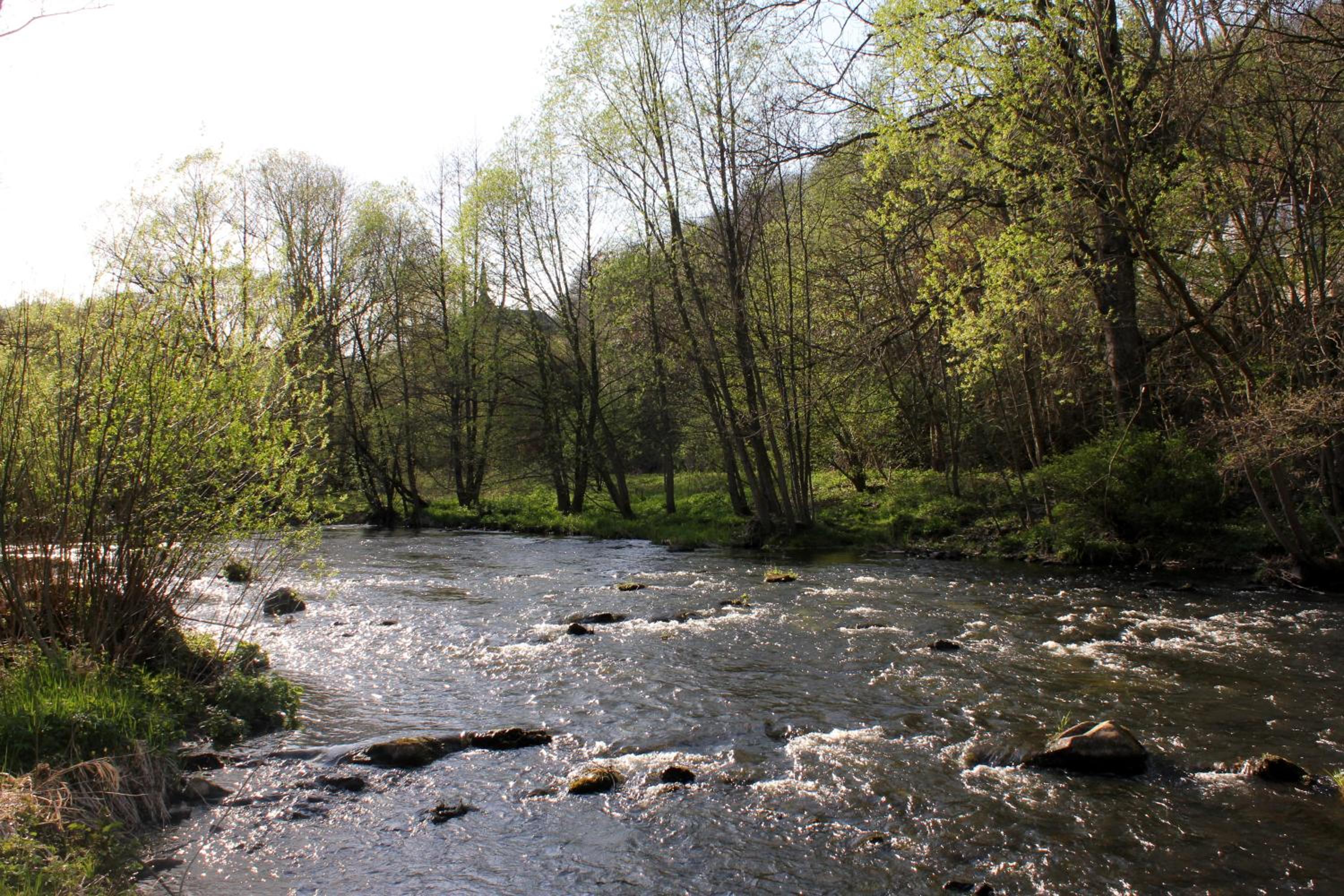 Ferienwohnungen mit Wellnessoase in Thale OT Altenbrak