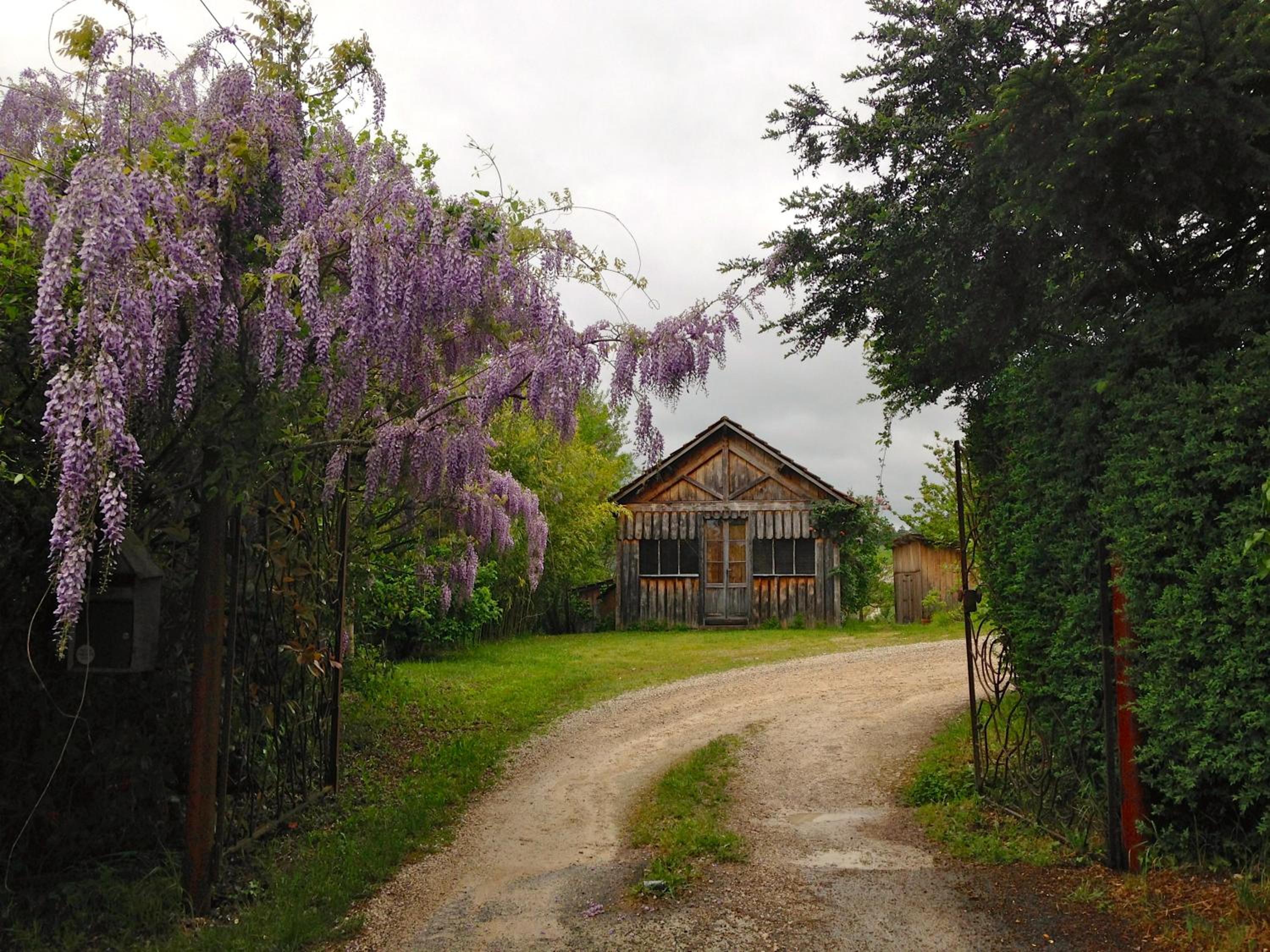 Photo 8