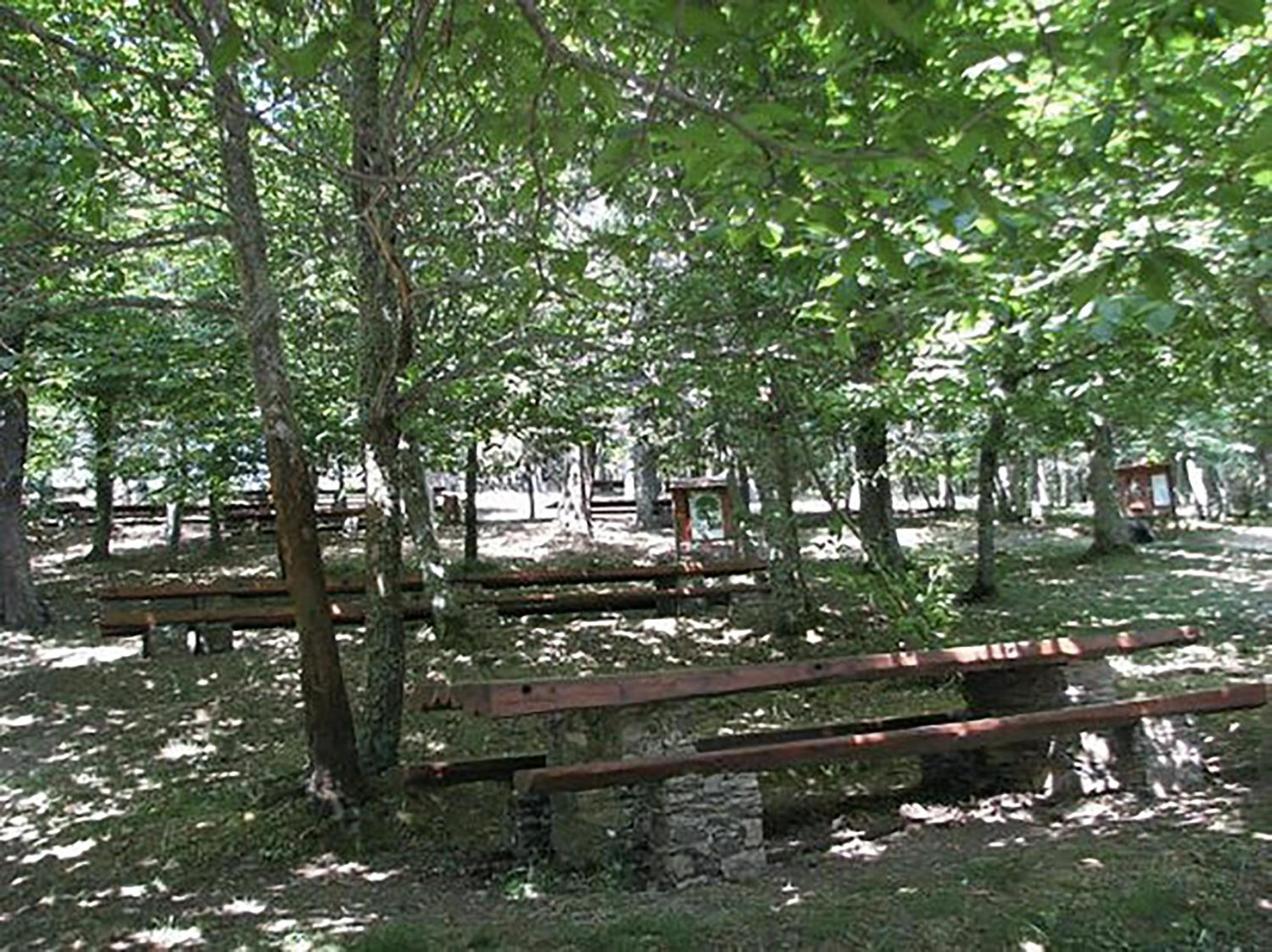 Sanctuary Armony