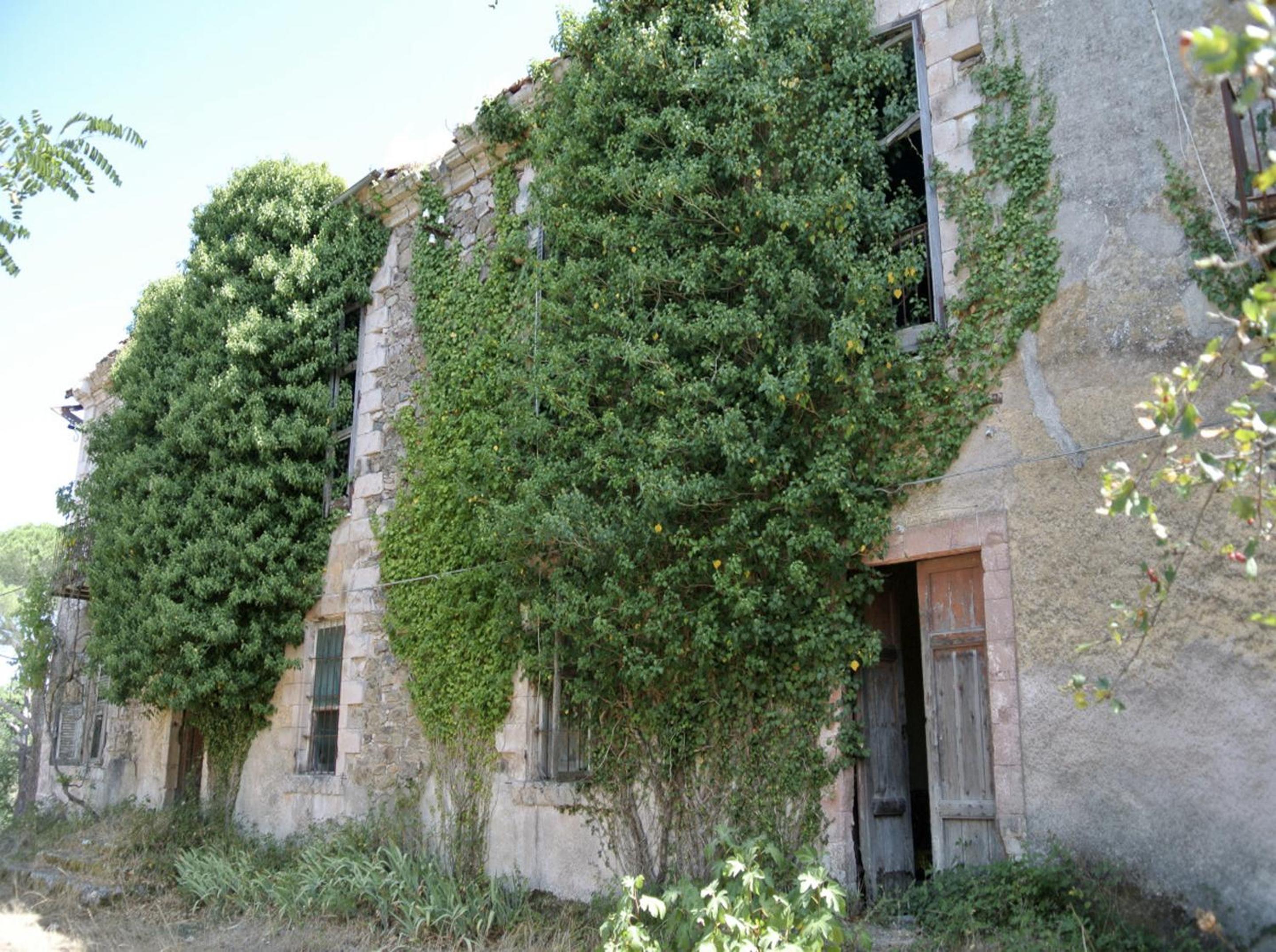 Sanctuary Armony