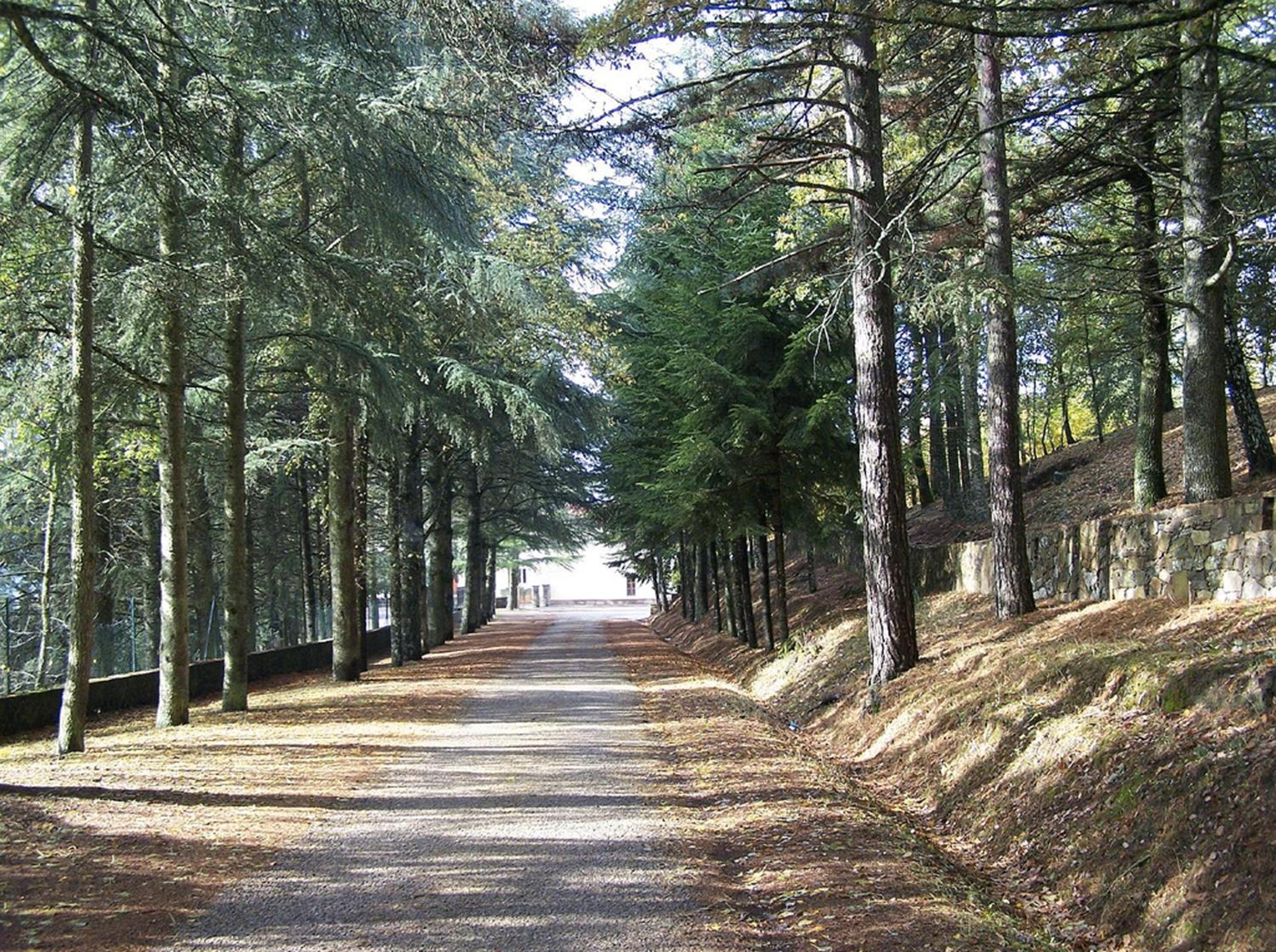 Sanctuary Armony