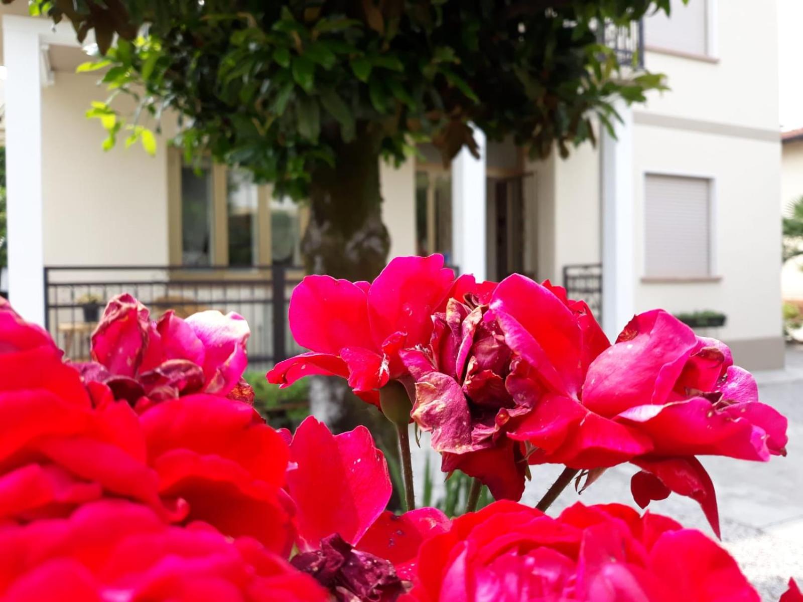 CASA ROMAN ITALIA, Center Sacile view 3