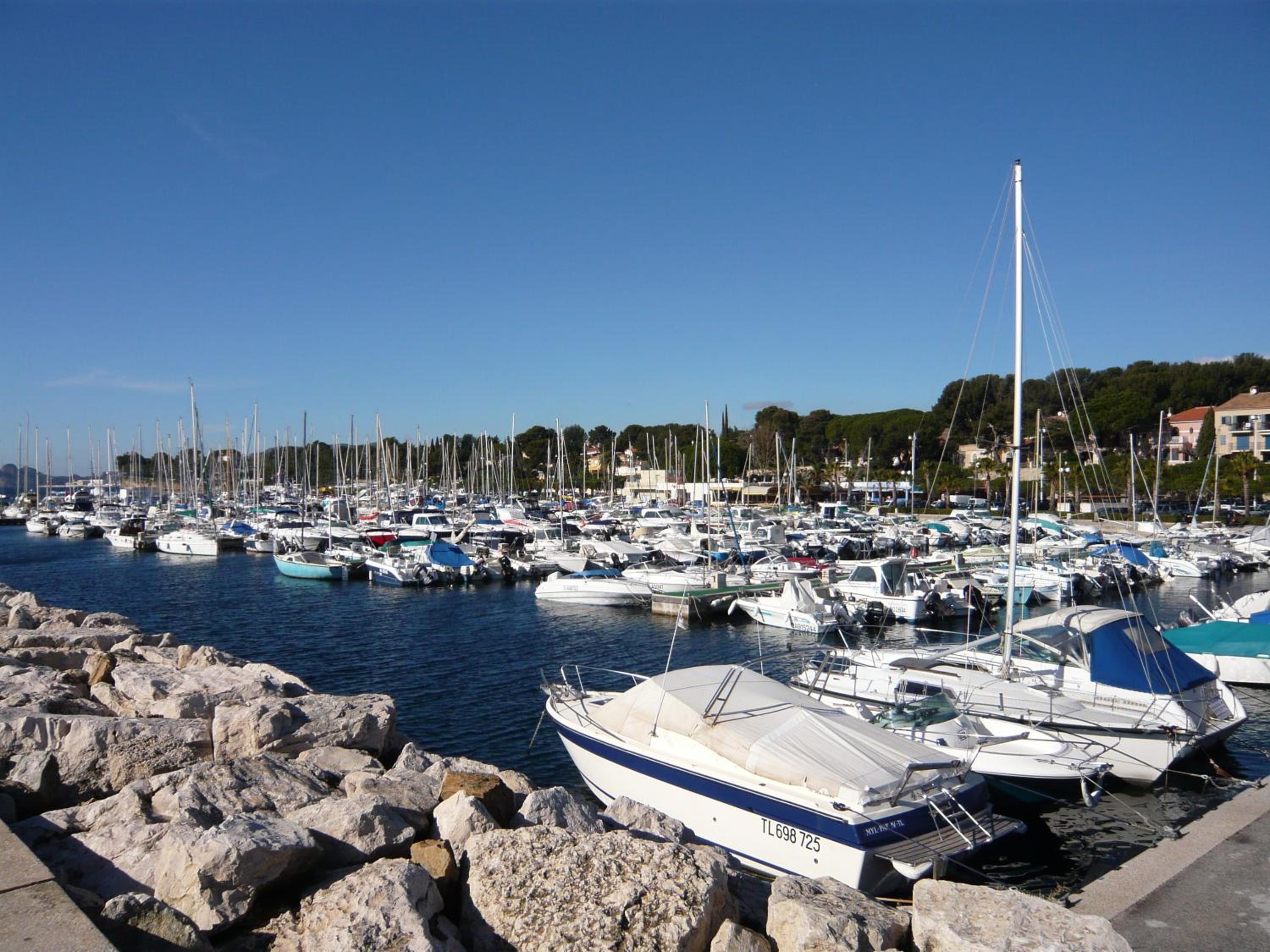 Les Palmiers view 3