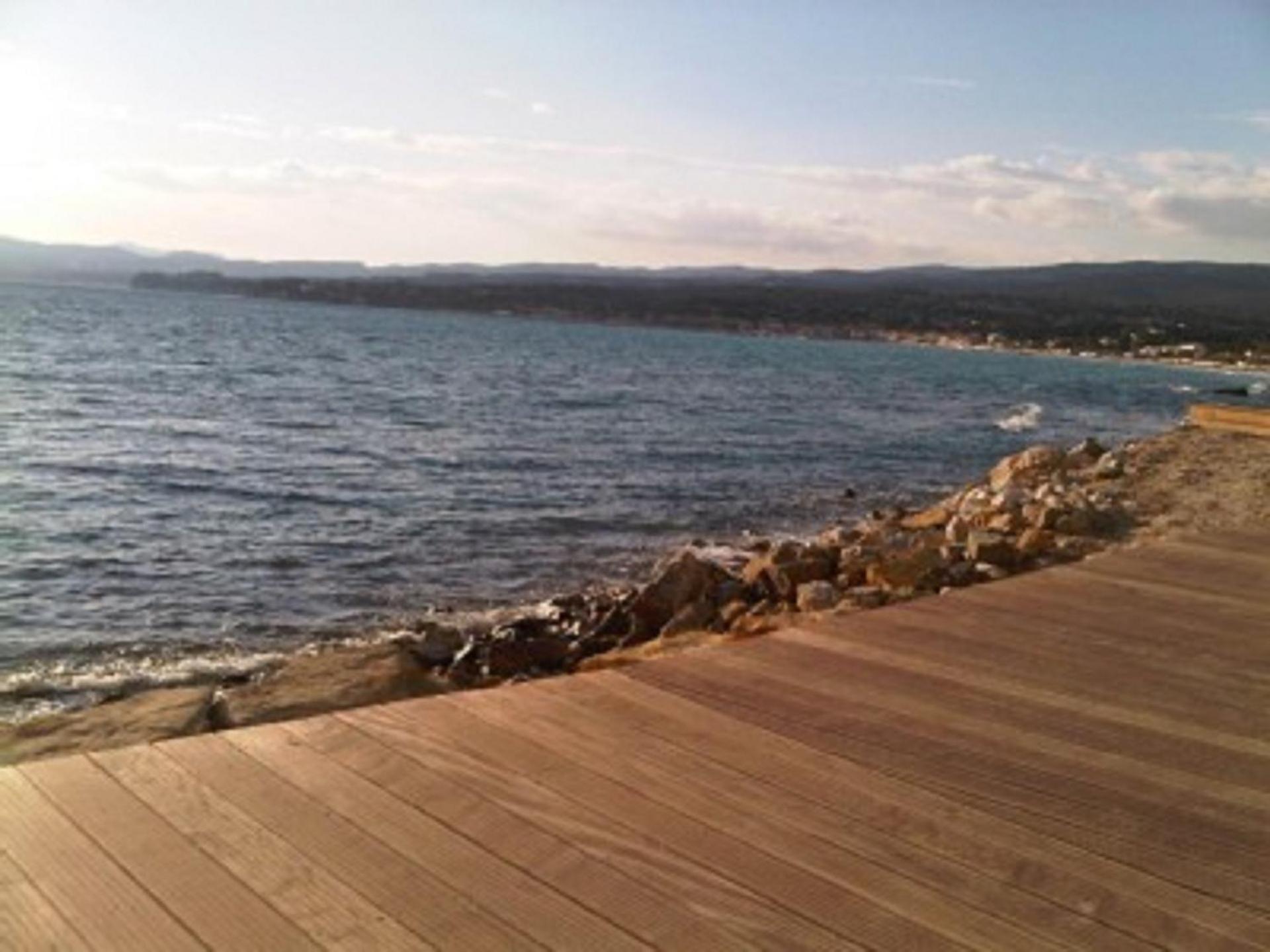 Les Palmiers view 4
